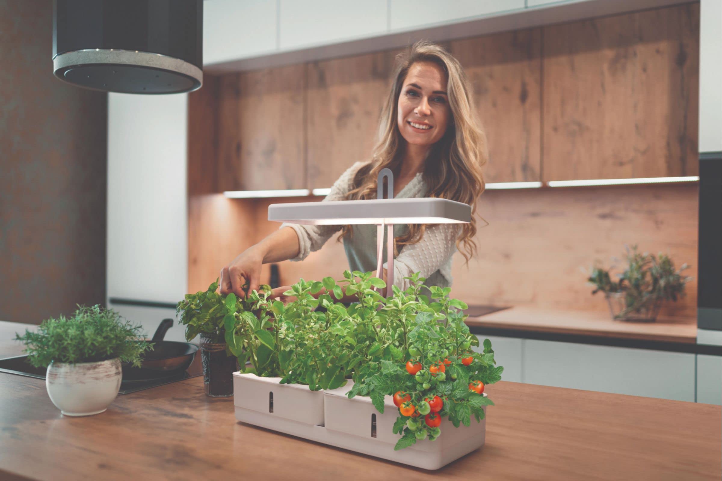 LEDVANCE Luz LED para plantas blanca con 1350Lumen, luz de crecimiento con 8 compartimentos para el jardín interior, luz para hierbas con función de temporizador e indicador de nivel de agua