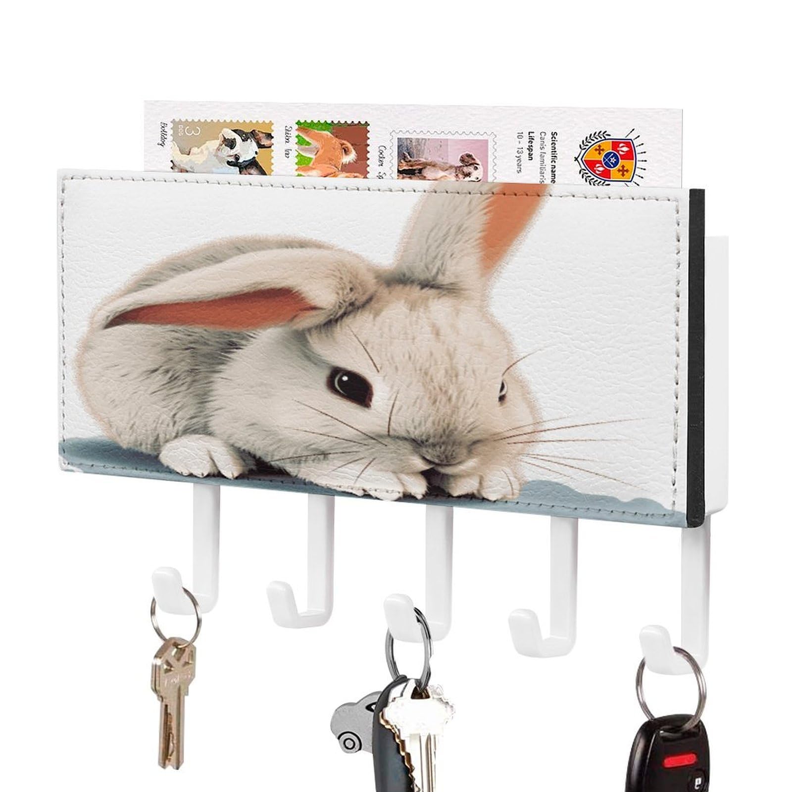 FekiLoot Cry Rabbit Key Holder Wall Mount Key and Mail Holder Key Hanger with 5 Hooks Decorative PU Key Rack Hanging Key Hooks for Wall Living Room Kitchen Bathroom Hallway White-Style