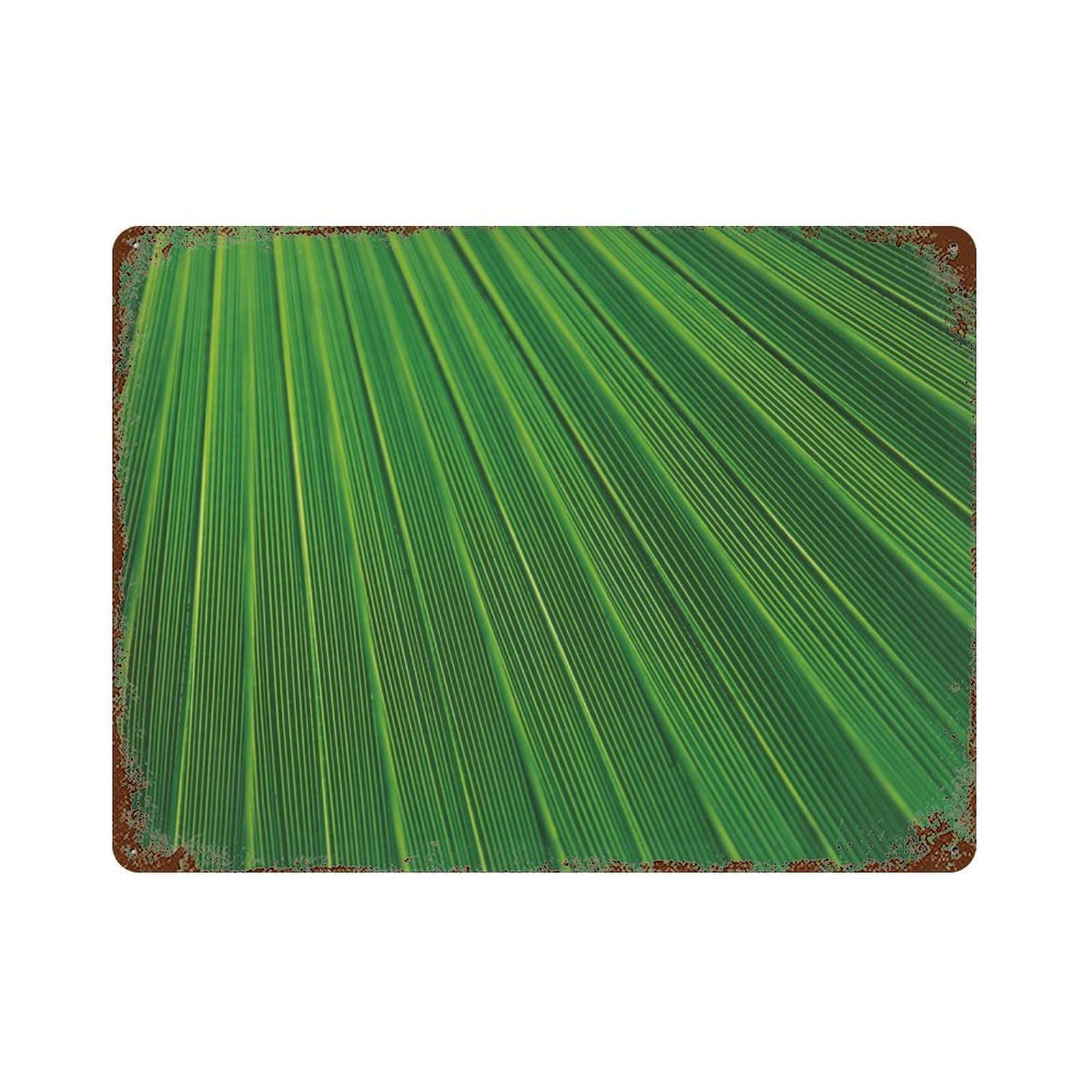 xiaoxiaoshen Green Leaves Botanical Tropical Decor Wall Decor Art Metal Tin Poster Modern Home Decor Art Home Bar Shop Decorations Vintage Sign 30x40cm