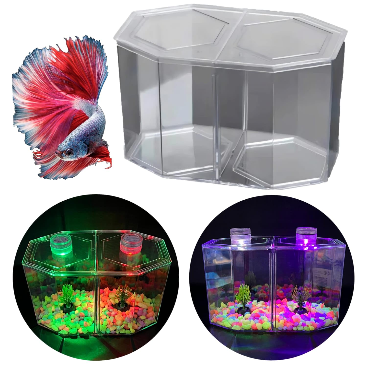 See full amazon price history chart for Rizopets Mini Double Compartment Aquarium Fish Tank for Fighters Fish | Betta Fish Tank Suitable for Home Decoration, Office, & Living Room Decoration (19 x 11.5 x 11 cm) Rizopets Mini Double Compartment Aquarium Fish Tank for Fighters Fish | Betta Fish Tank Suitable for Home Decoration, Office, & Living Room Decoration (19 x 11.5 x 11 cm) (B0D9Y59TV9) Amazon Price History, Amazon Price Tracker