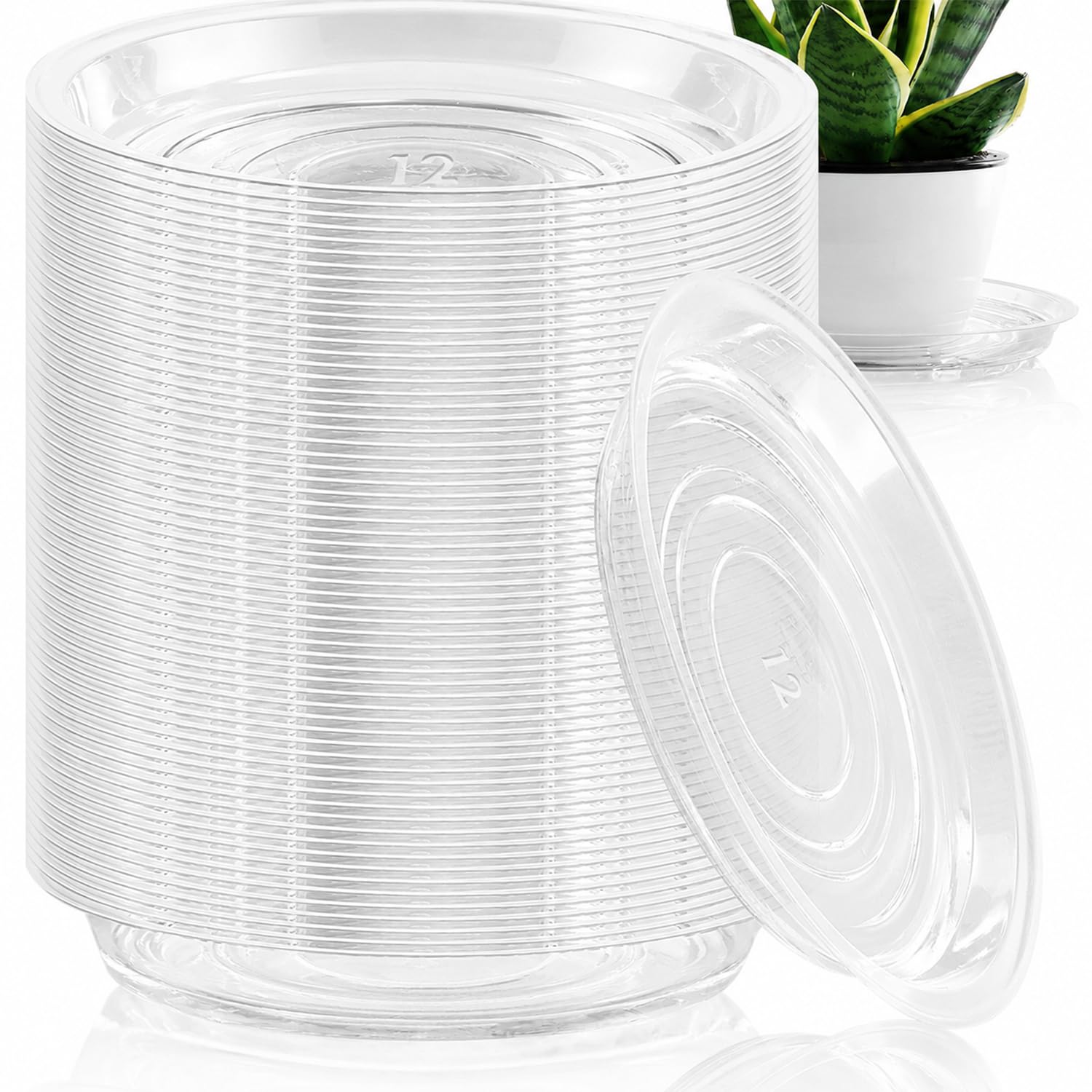 Plant Saucers - 20 Pack for Drainage -24 Plant Saucers - 20 Pack for Drainage -24