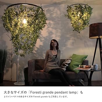 Amazon | 【メーカー公式限定2年保証】 DI CLASSE Foresti