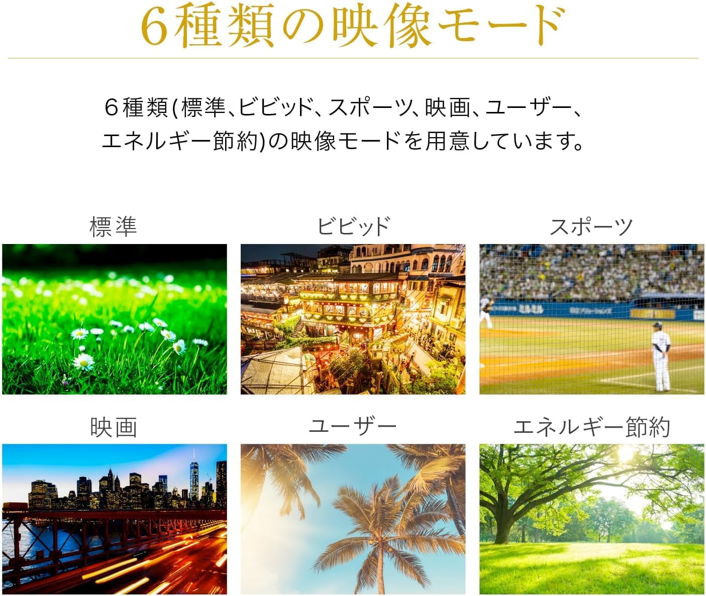 グリーンハウス 40V型テレビ フルハイビジョン 3波ダブルチューナー 美品 spot | GH-TV40A-BK | GREEN HOUSE グリーンハウス