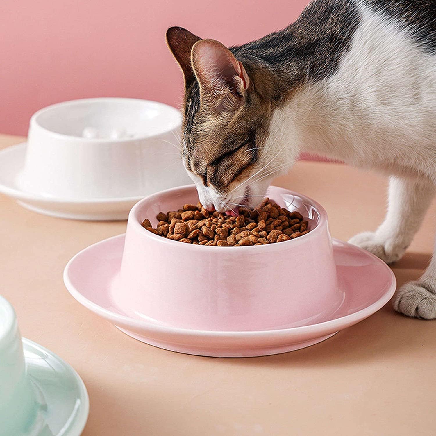 4 Ciotole Piatte Per Gatti - In Ceramica Per Cibo Umido E Secco, Facili Da Pulire