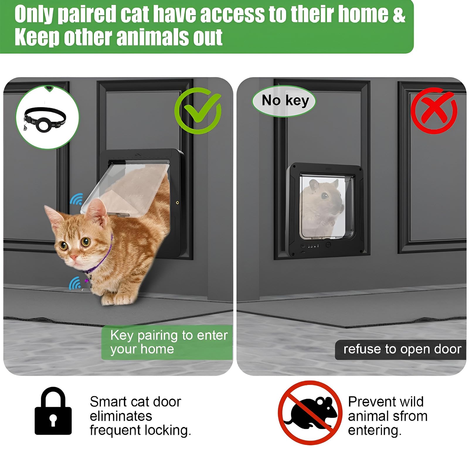 Porte électronique pour chat avec puce et télécommande