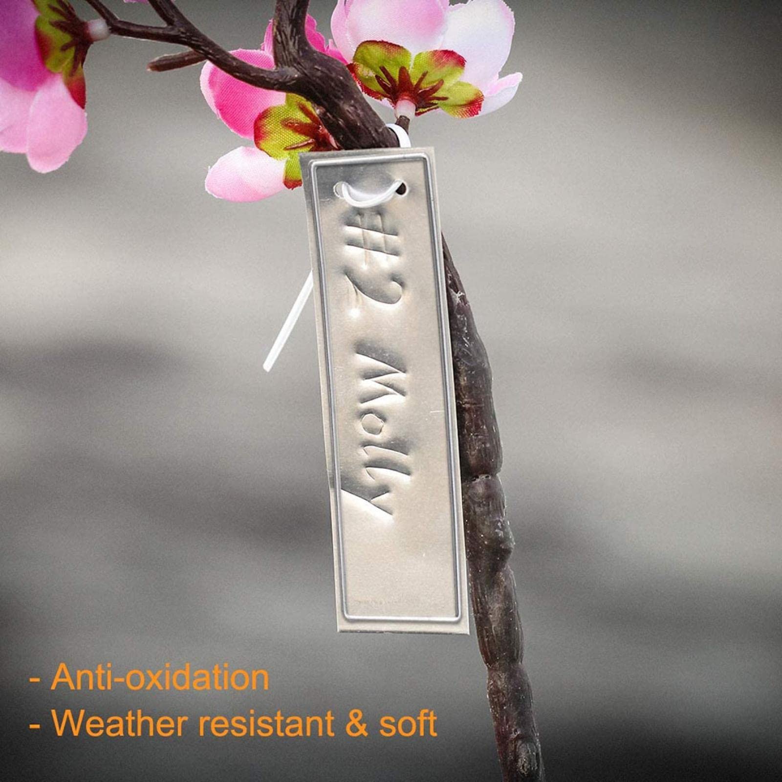 50 Etichette Per Piante In Alluminio – Impermeabili, Grezze, 8 X 4,6 Cm, Per Orto, Giardino, Vivaio E Serra, Ideali Per Timbratura E Scrittura A Mano