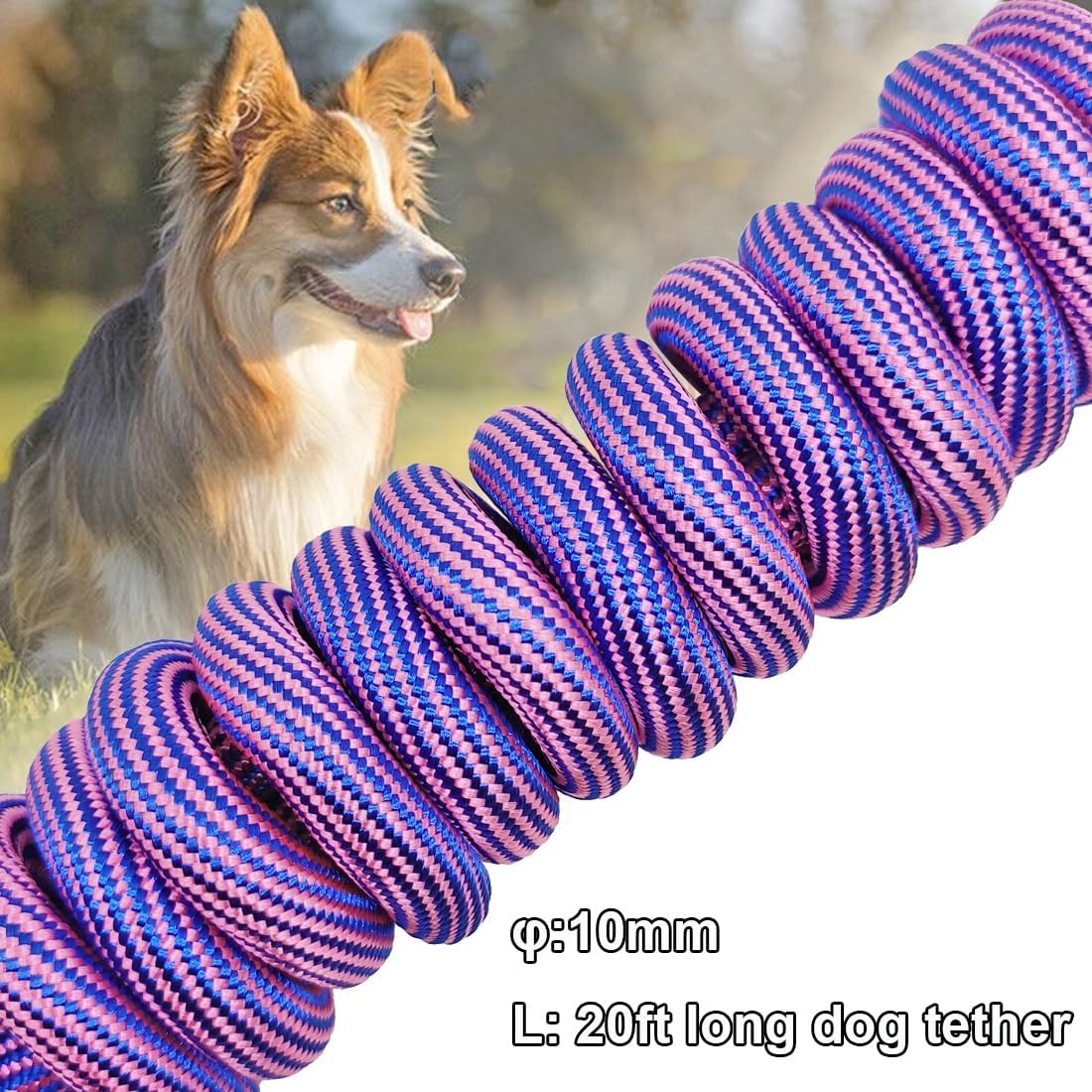 20ft Dog Tie Out + 20ft Long Dog Leash