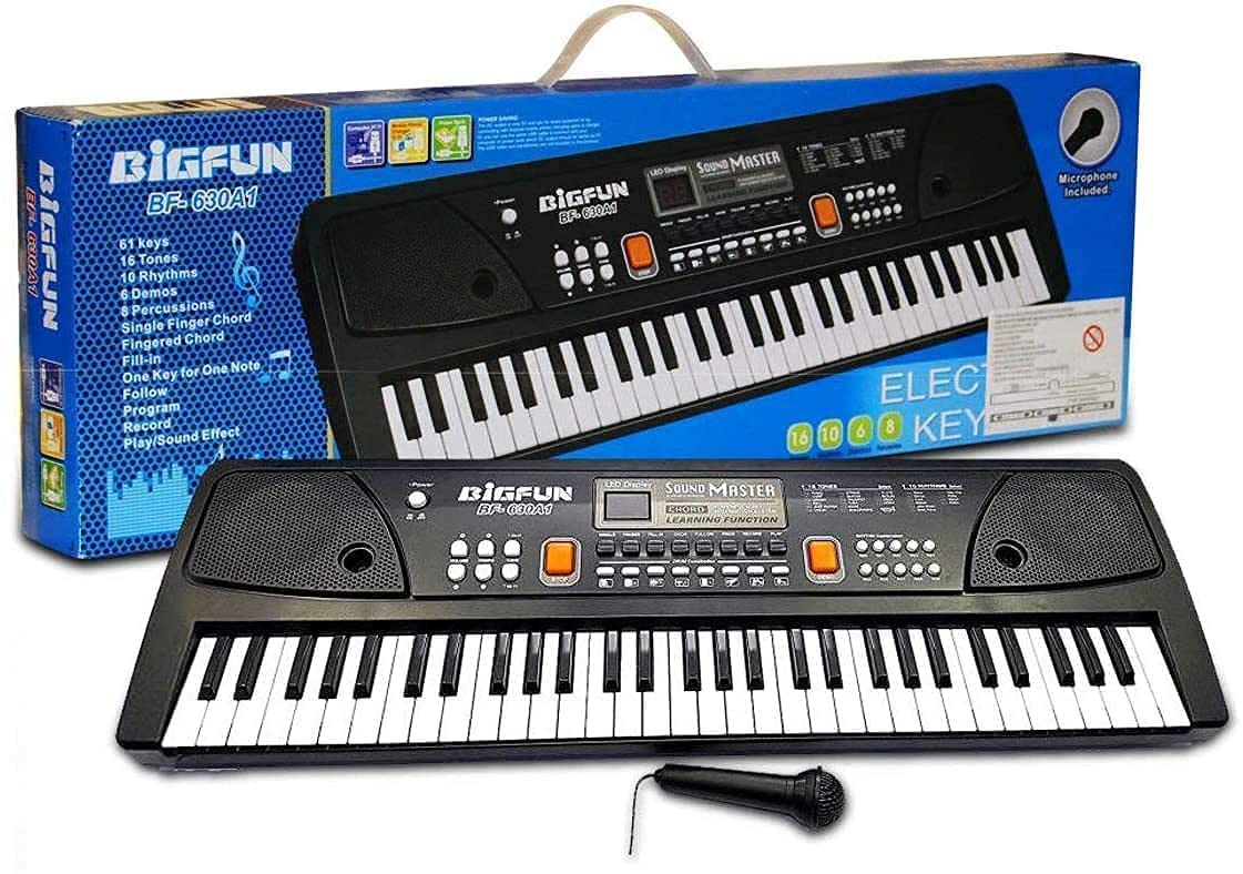 Piano 61-Key Electronic Piano Keyboard with LED Display & Microphone – Portable Digital Piano for Beginners & Kids with Multiple Tones & Rhythms (Black)-image-41
