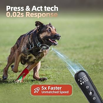 Debug Eqpt (デバッグ) ハートのK9チャーム 9金 ゴールド