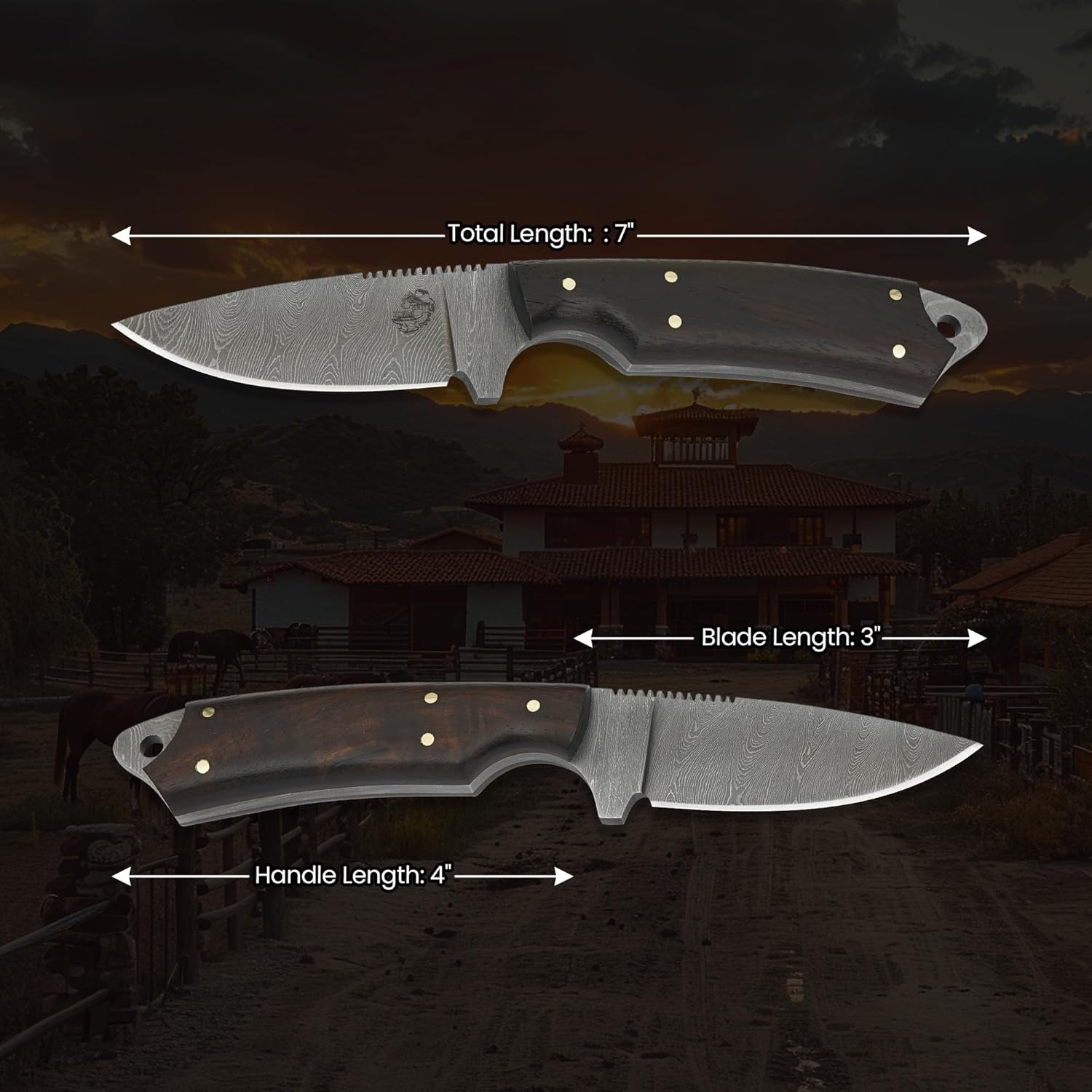 Knives Ranch Handmade EDC Hunting Knife – Full Tang – Carbon Steel Damascus – Rosewood Handle – 45° Pancake Leather Sheath – Cowboy Ranch Knife for Hunting & Skinning