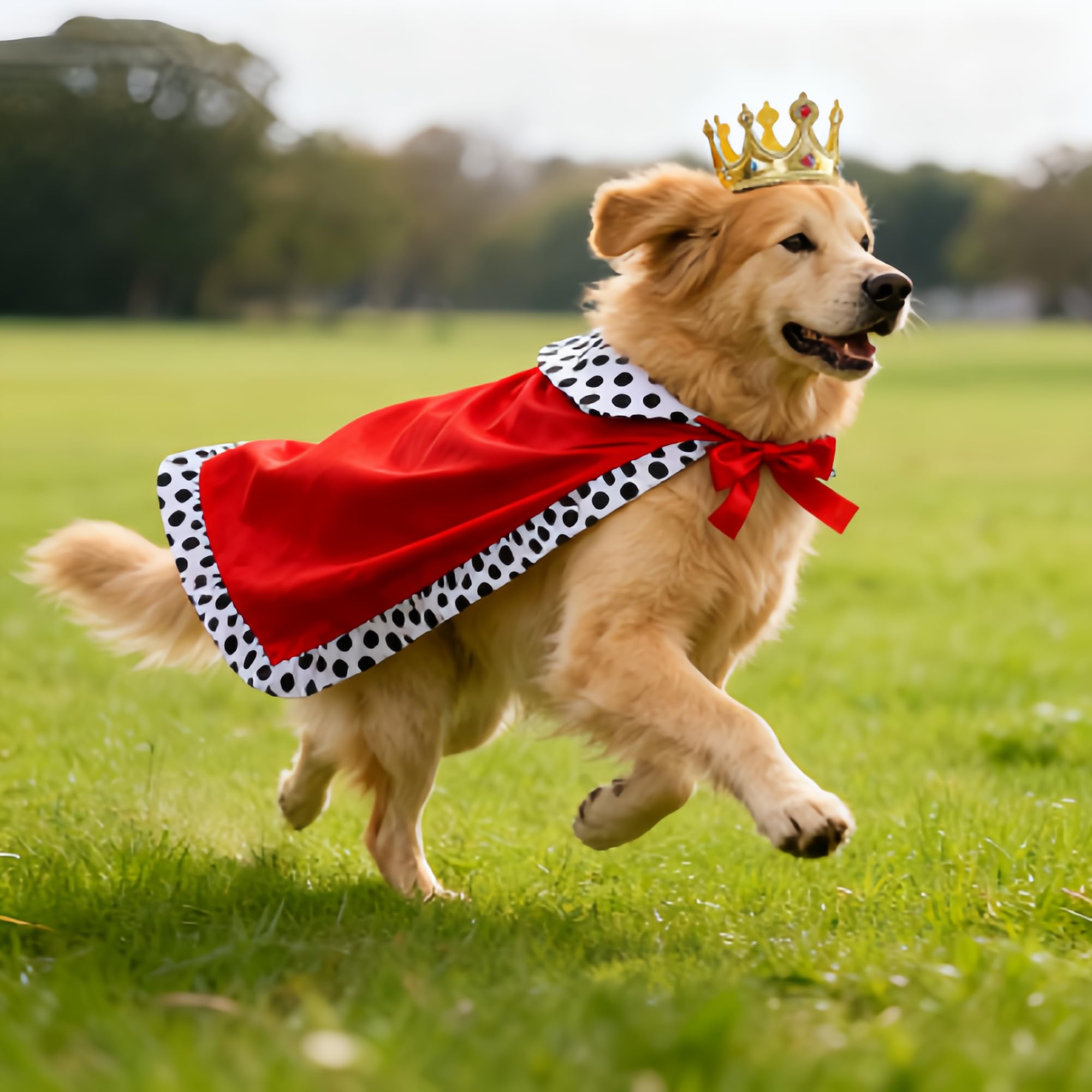 Königliches Hundekostüm für Partys – Verkleidungsset mit Goldener Krone & rotem Umhang – Lustiges Outfit für kleine Hunde zu Karneval, Halloween & Fotoshooting