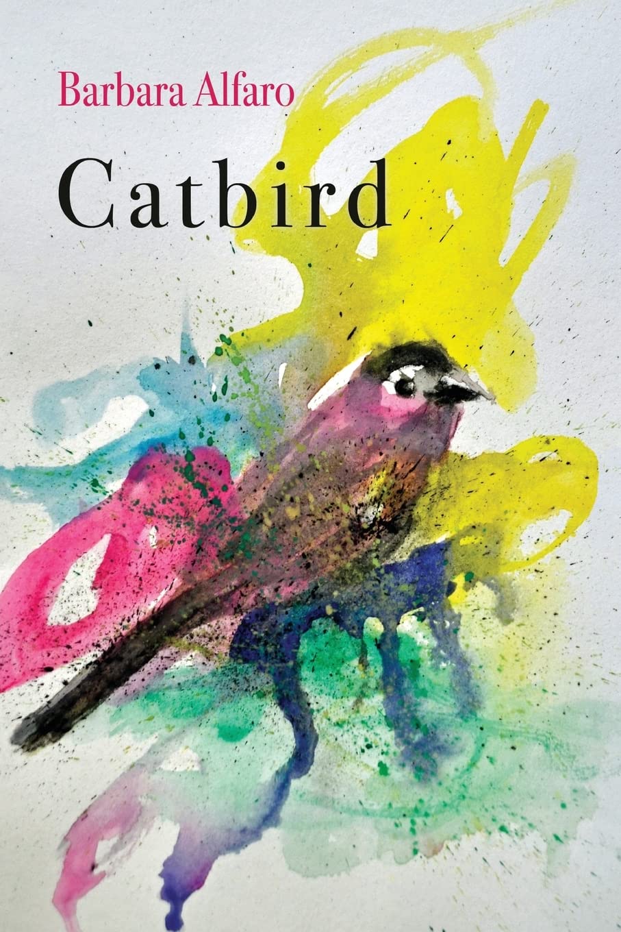 Catbird Paperback – Big Book, 14 January 2022