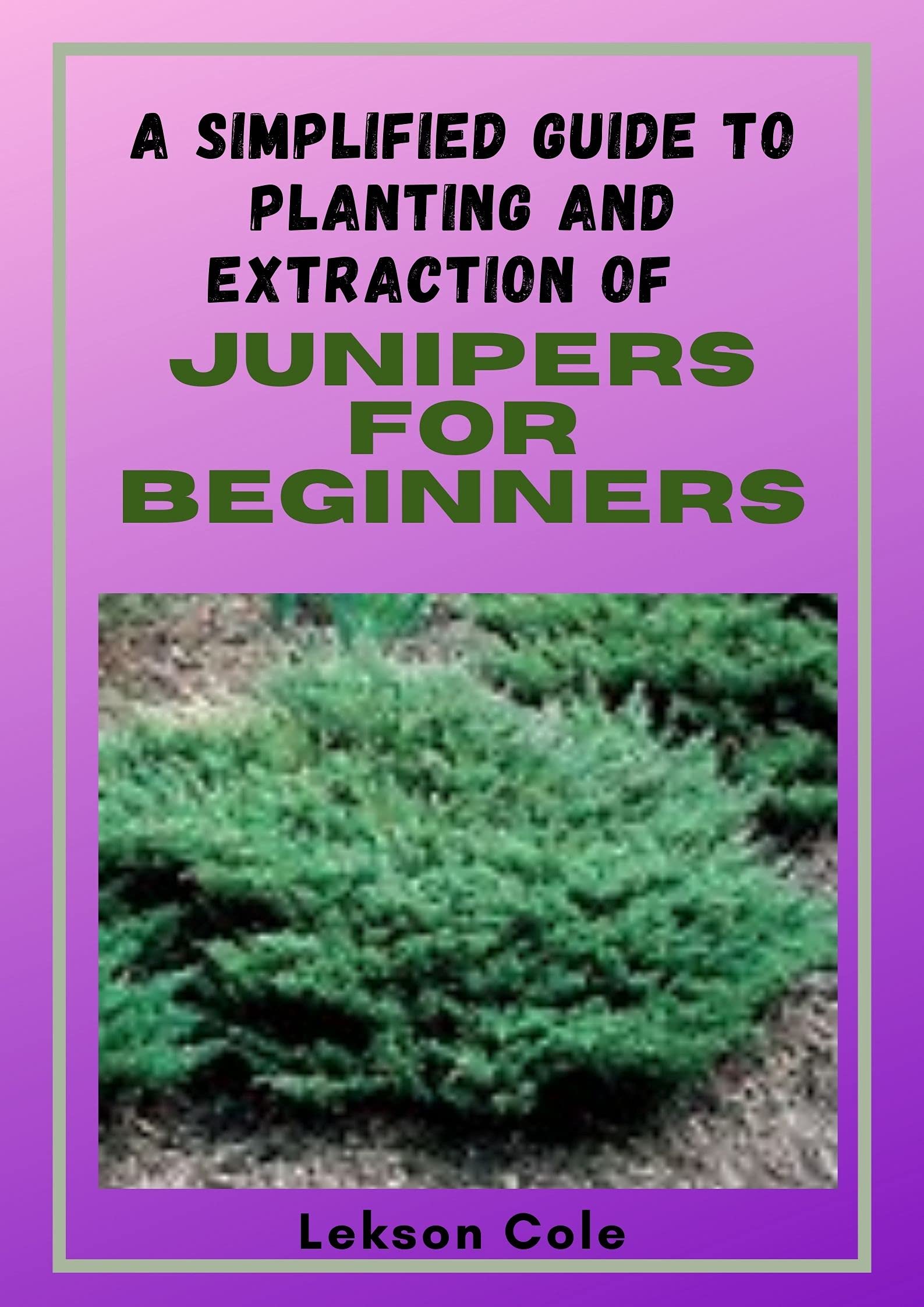 Buy A Simplified Guide To ing And Extraction Of Junipers For Beginners