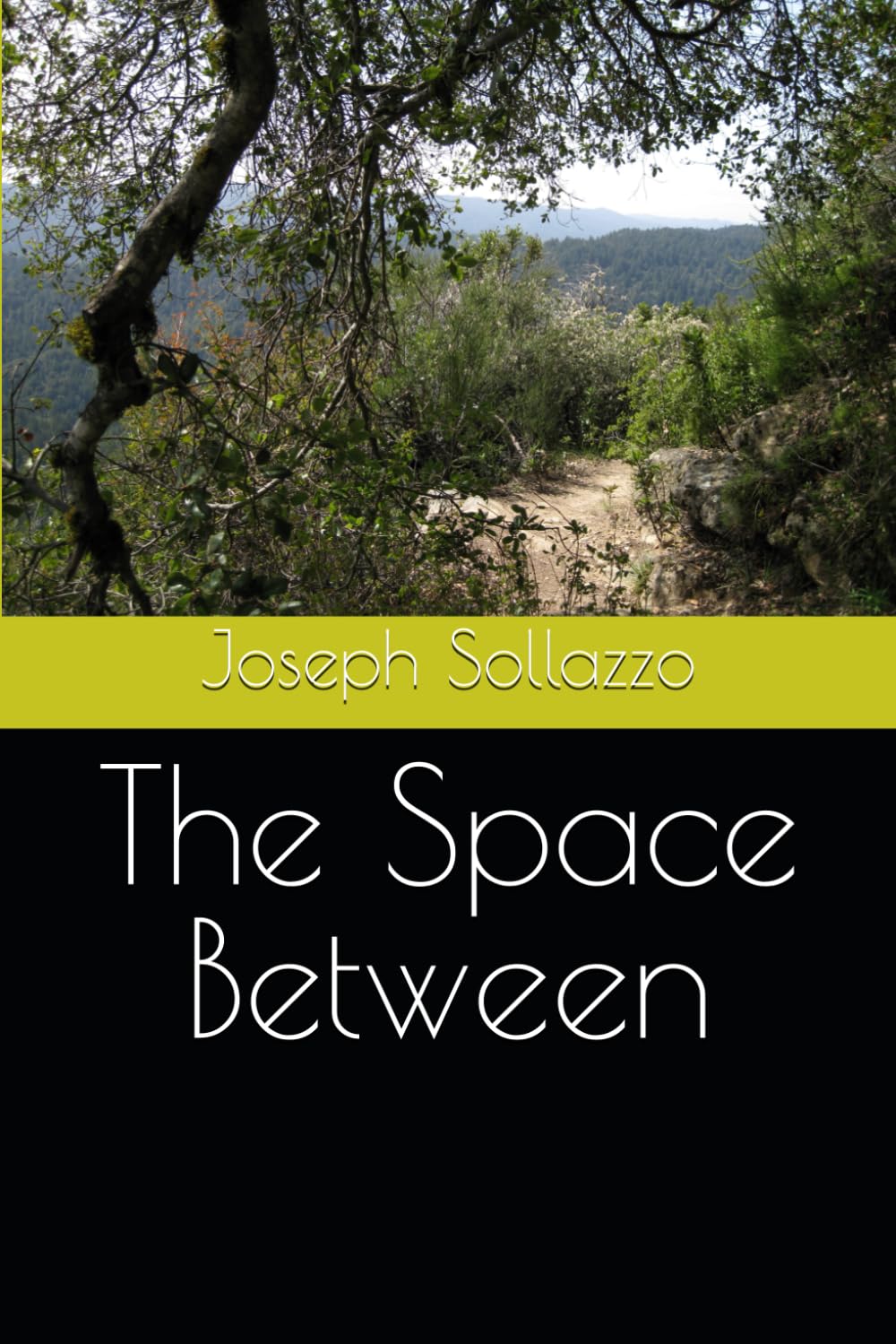 The Space Between