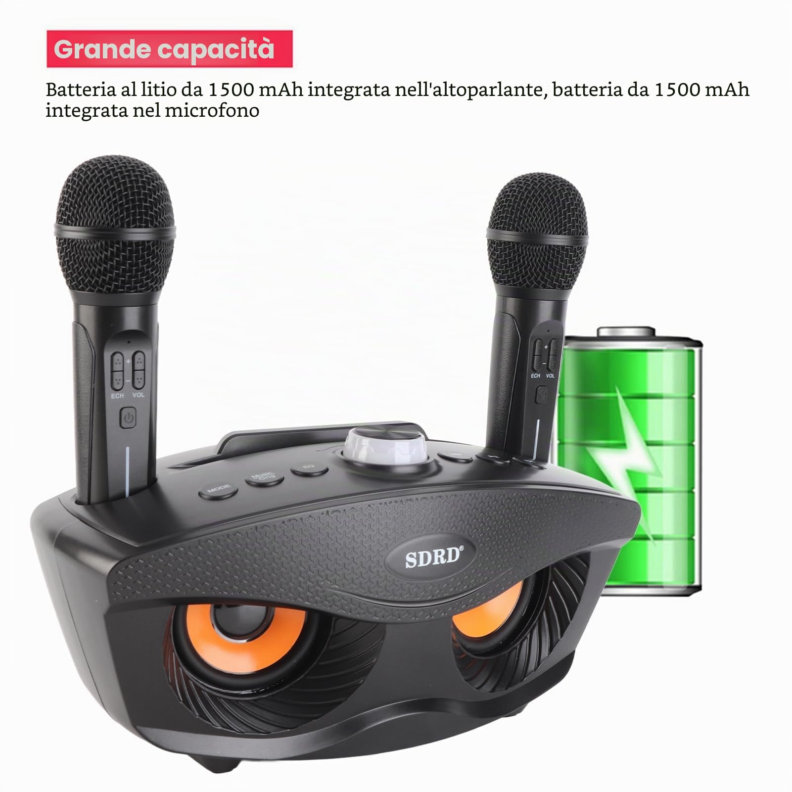 Bewinner Karaoke Wireless Altoparlante Bluetooth per la Casa con Due Microfoni Portatili per Feste e Eventi Casa Nero