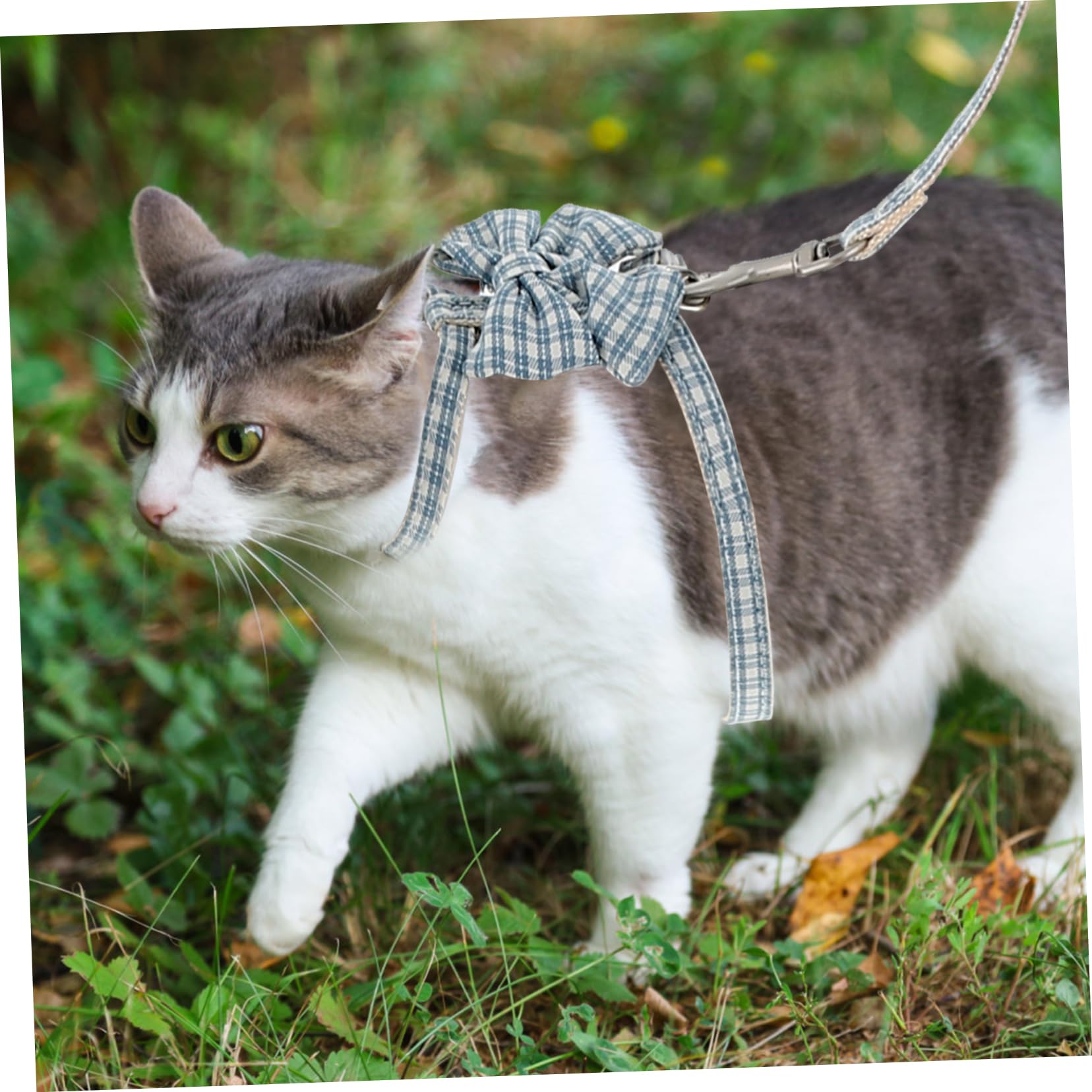 Didiseaon 4sets Per Gatti Regolabile Con Guinzaglio Di Pettorina Per Gatti Da Massimo Comfort e Sicurezza Durante Le Passeggiate