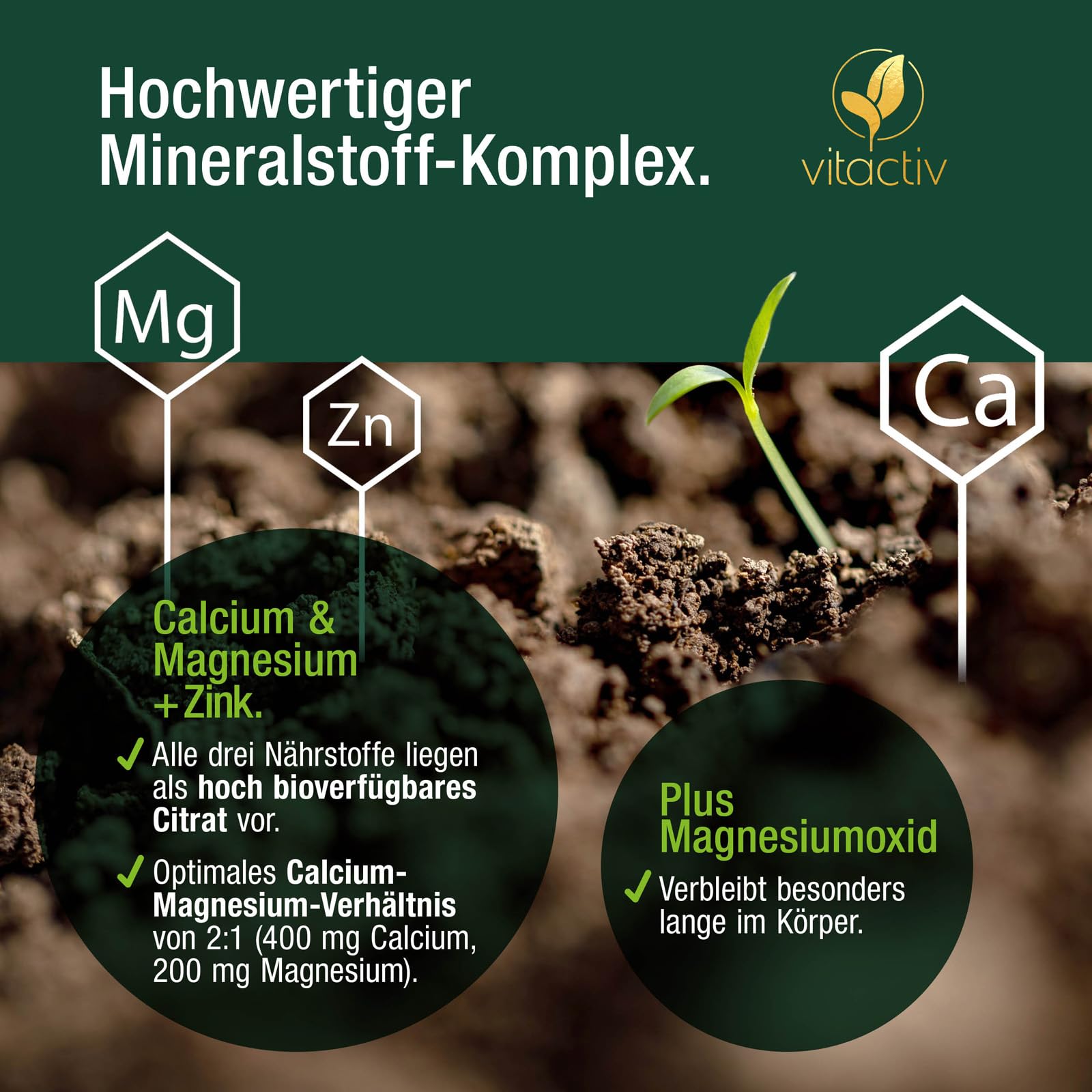 VITACTIV Calcium Magnesium Zink Tabletten - Mineralkomplex hochdosiert für Knochen, Muskeln, Haut & Haare - Calciumcitrat, Magnesiumcitrat und Zinkcitrat - Hohe Bioverfügbarkeit, Vegan - 300 Stück