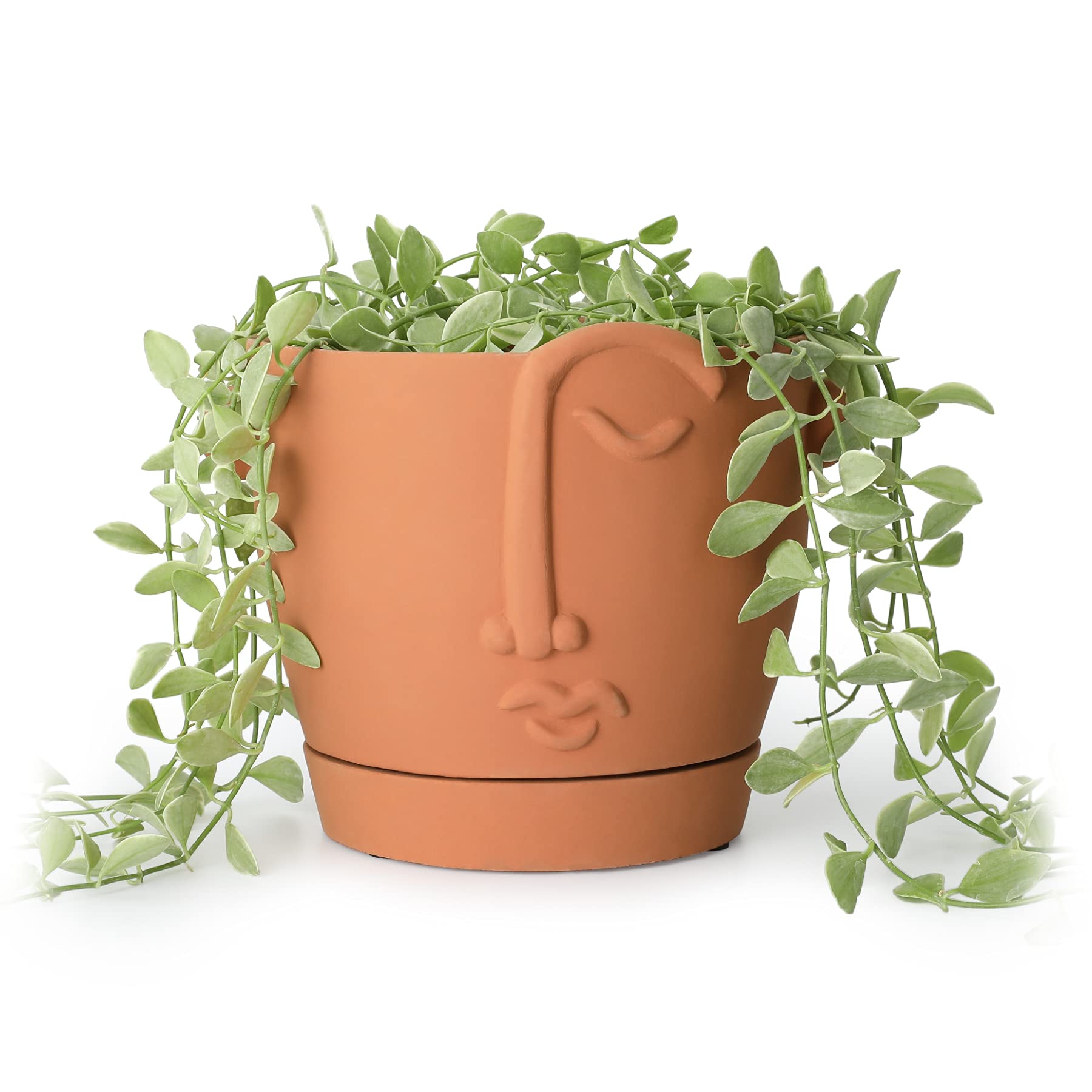 Greenaholics 6Inch Face Planters Pot Cement Head Succulent Plant Pot for Indoor Outdoor Decorative Plants with Drainage Hole and Dish Unique Terracotta Color Flower Pots Head Vase