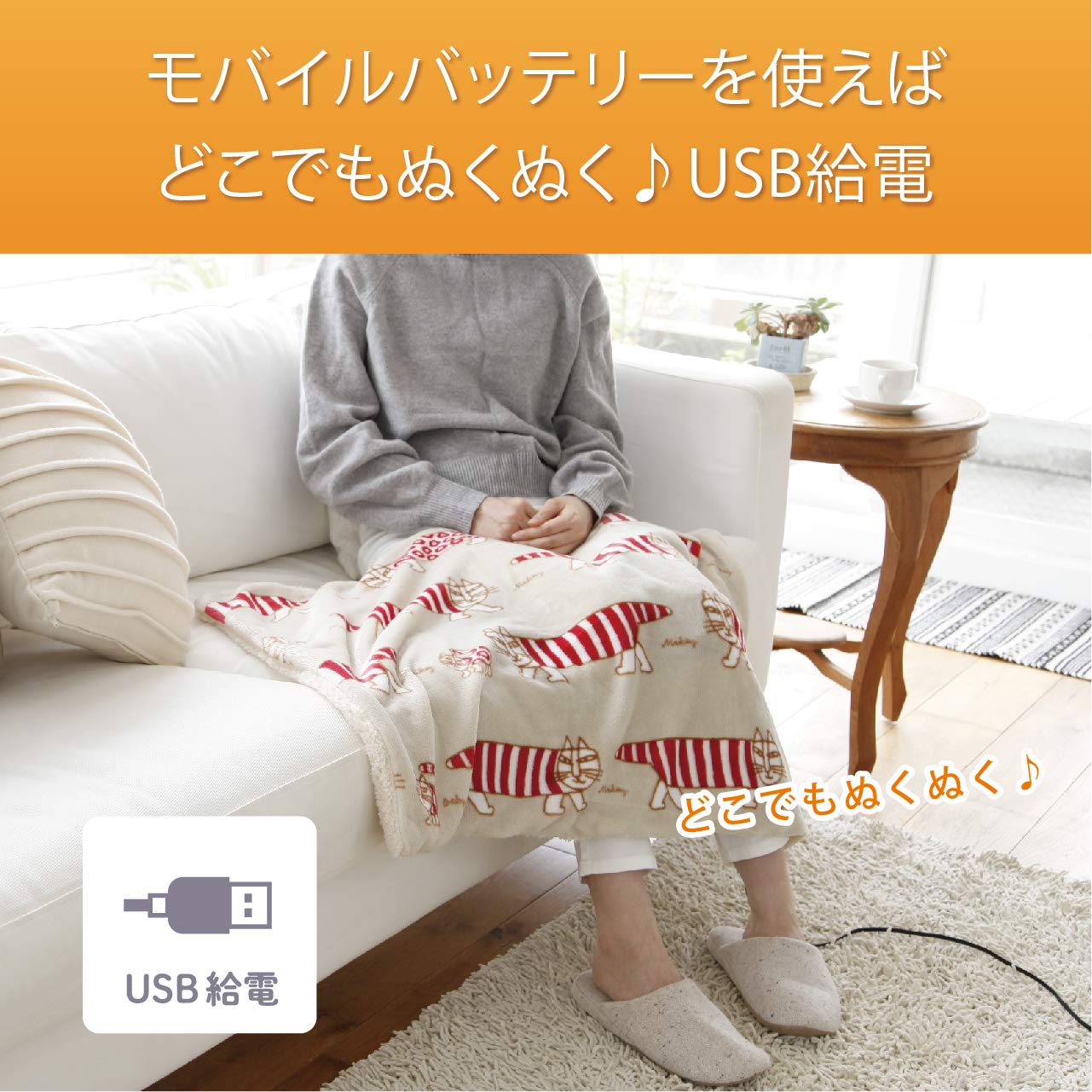 コイズミ 電気ひざ掛け USB ブランケット USB給電 丸洗い可 リサ・ラーソ Amazon | コイズミ 電気ひざ掛け USB ブランケット リサ