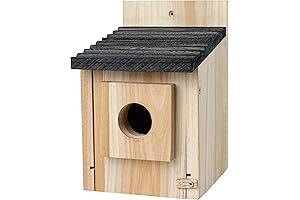 Cozy Countryside Sanctuary: Bluebird House for Outdoor Bird Watching and Wildlife Nesting