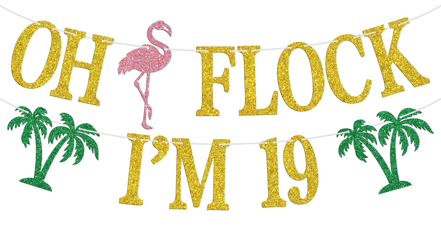 Oh Flock I'm 19 Banner, Glitter Happy 19th Birthday Anniversary Party Decorations, Pineapple Party Decor, Hawaiian Luau Tropical Aloha 19 Theme Party Photo Props
