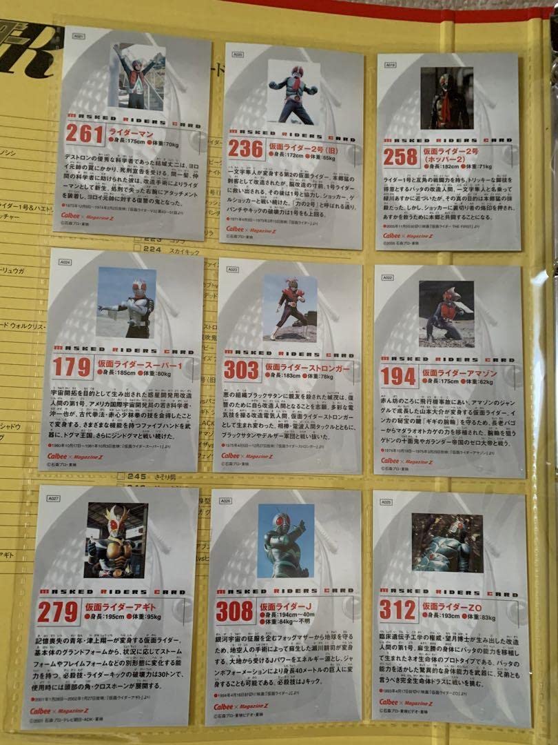仮面ライダーチップスR [第2記録]全162種コンプ＋バインダー＋特典カード4種 仮面ライダーチップスR [第2記録]全162種コンプ＋バインダー＋