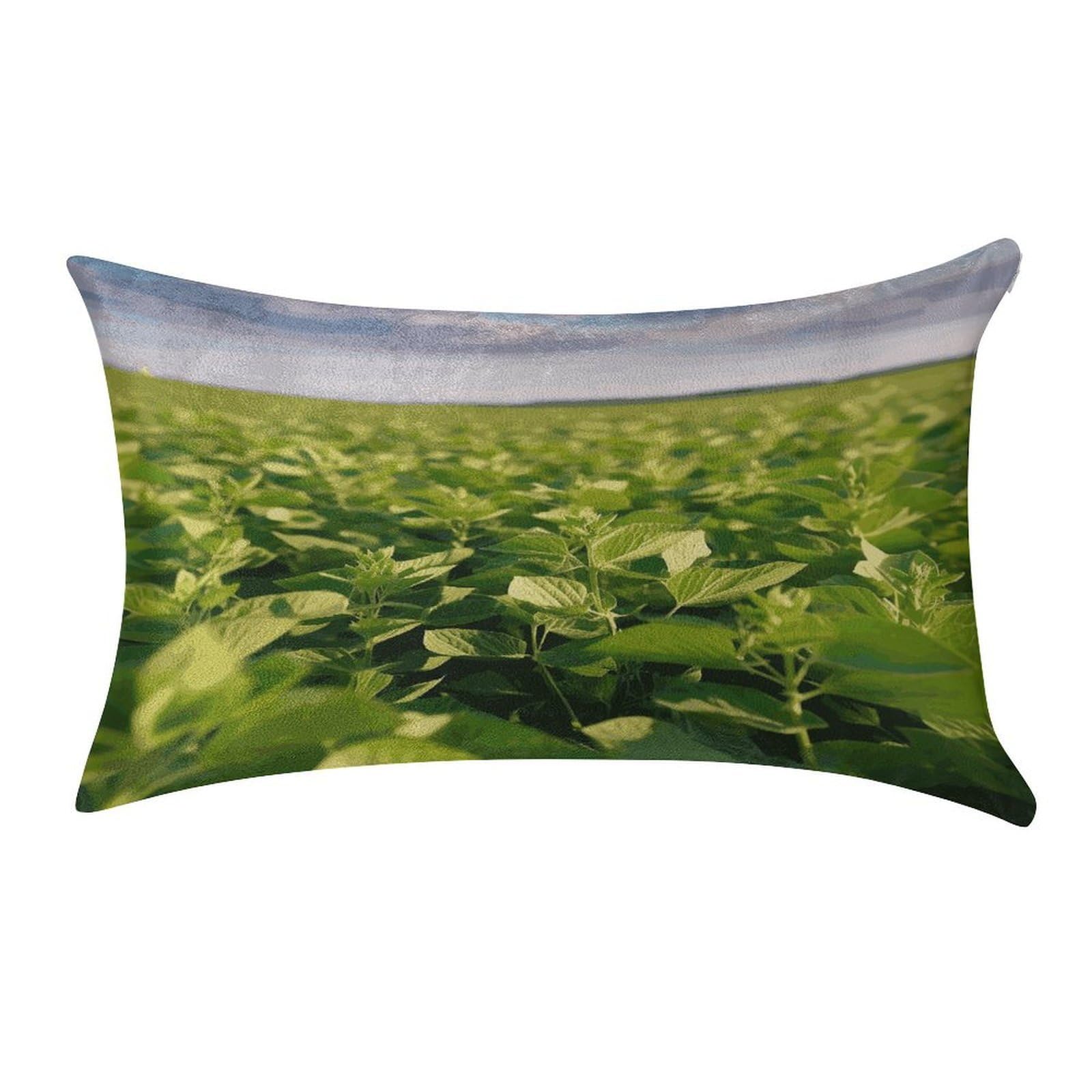 MUSM Soybean Field Pillow Case 12"X20" Luxury Velvet Throw Pillow Cover Fade Resistant Cozy Soft Pillowcases Pillow Protector Pillow Shams Lumbar Pillow Shells for Home&Gifts