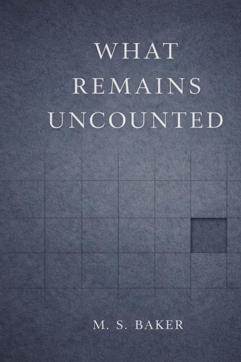 What Remains Uncounted: On Stability, Compliance, and the Cost of Order