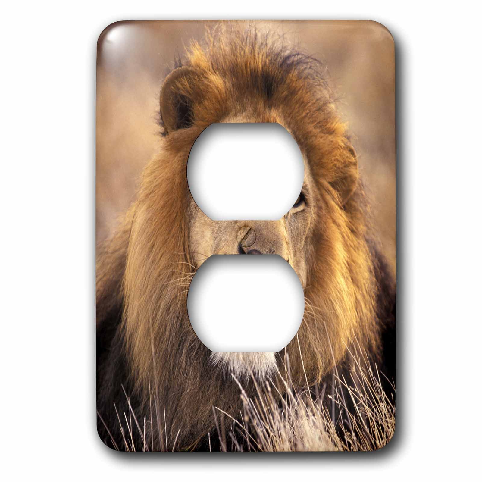 Prise de courant décorative lion d'Afrique pour remplacer vos plaques