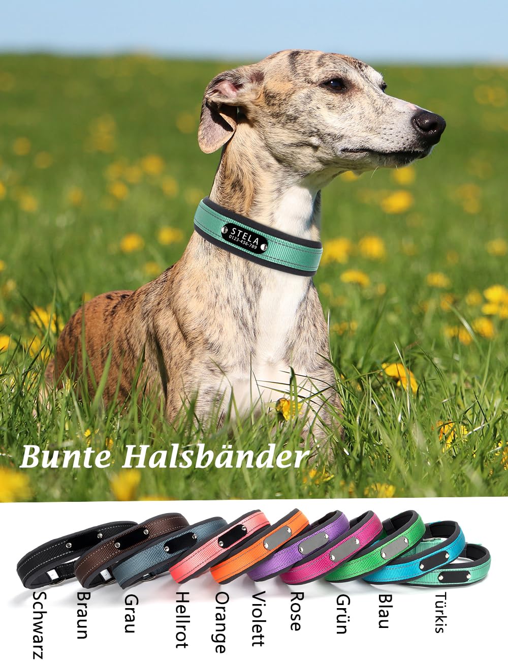 Personalisiertes Reflektierendes Hundehalsband – Individuell Graviert mit Name & Telefonnummer, Weiches Neoprenfutter, Verstellbar, Robust & Bequem, Sicherheits-Halsband für Hunde