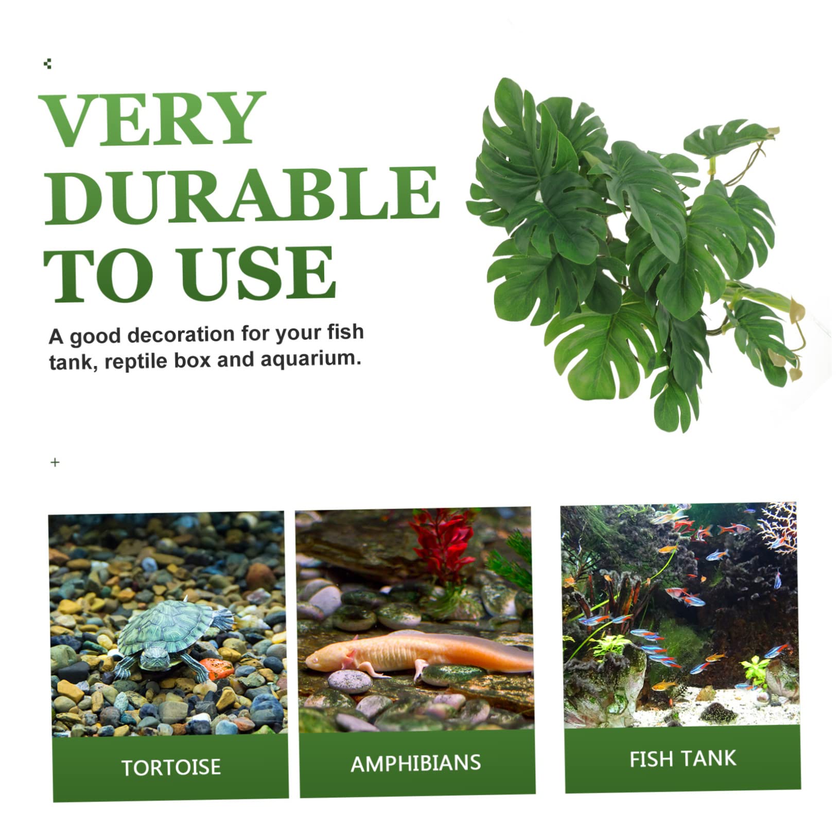 BESPORTBLE 5 Piezas De Decoración De Plantas De Reptiles Decoraciones De Terrarios Contenedores De Vidrio Enredaderas Terrarios De Reptiles Decoraciones Ligeras para El Hogar