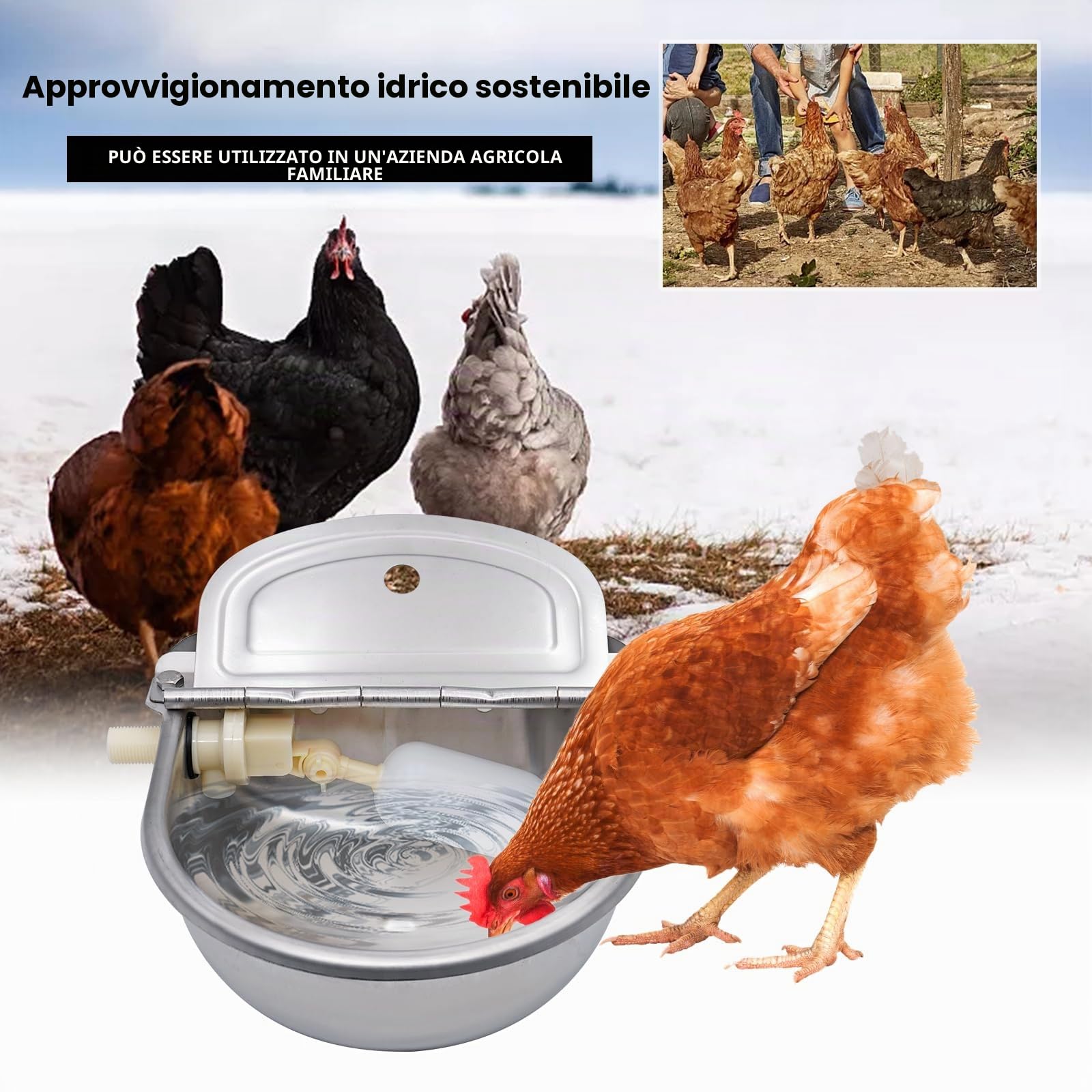 Abbeveratoio per Animali Domestici in Acciaio Inox Con Connettore, Ciotola per Acqua Automatica con Valvola A Galleggiante Regolabile Per Bovini, Maiali, Pecore, Cani