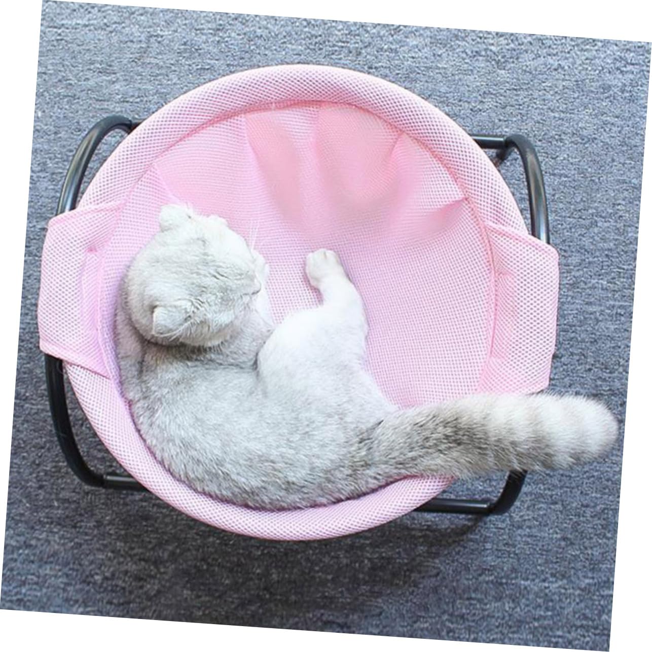 Housoutil Hamac Surélevé pour Chat Nid Hamac Pieds en Fer Robustes pour Un Soutien Sûr