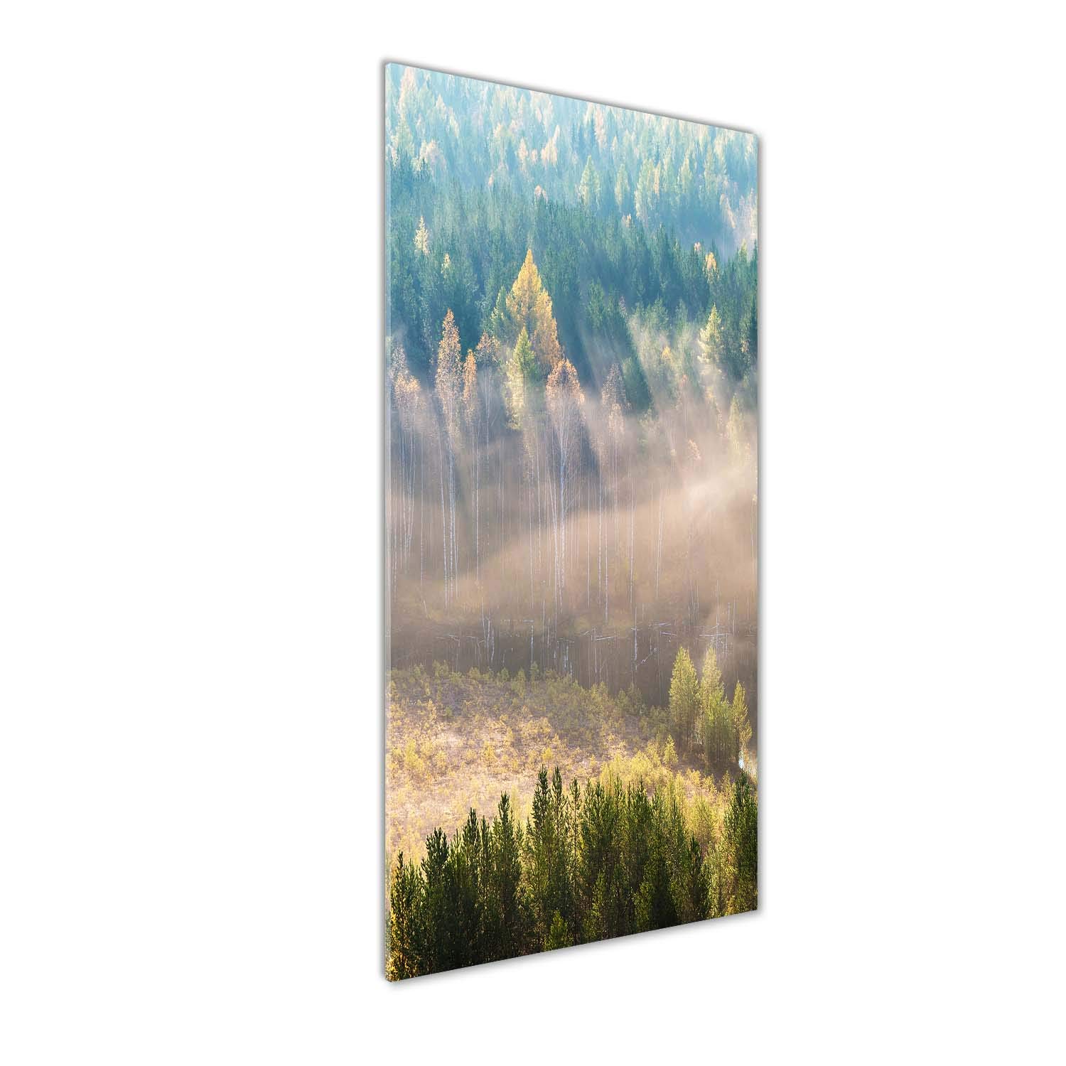 Déco mural derrière le plastique acrylique Tulup 50x125 cm : tableau forêt