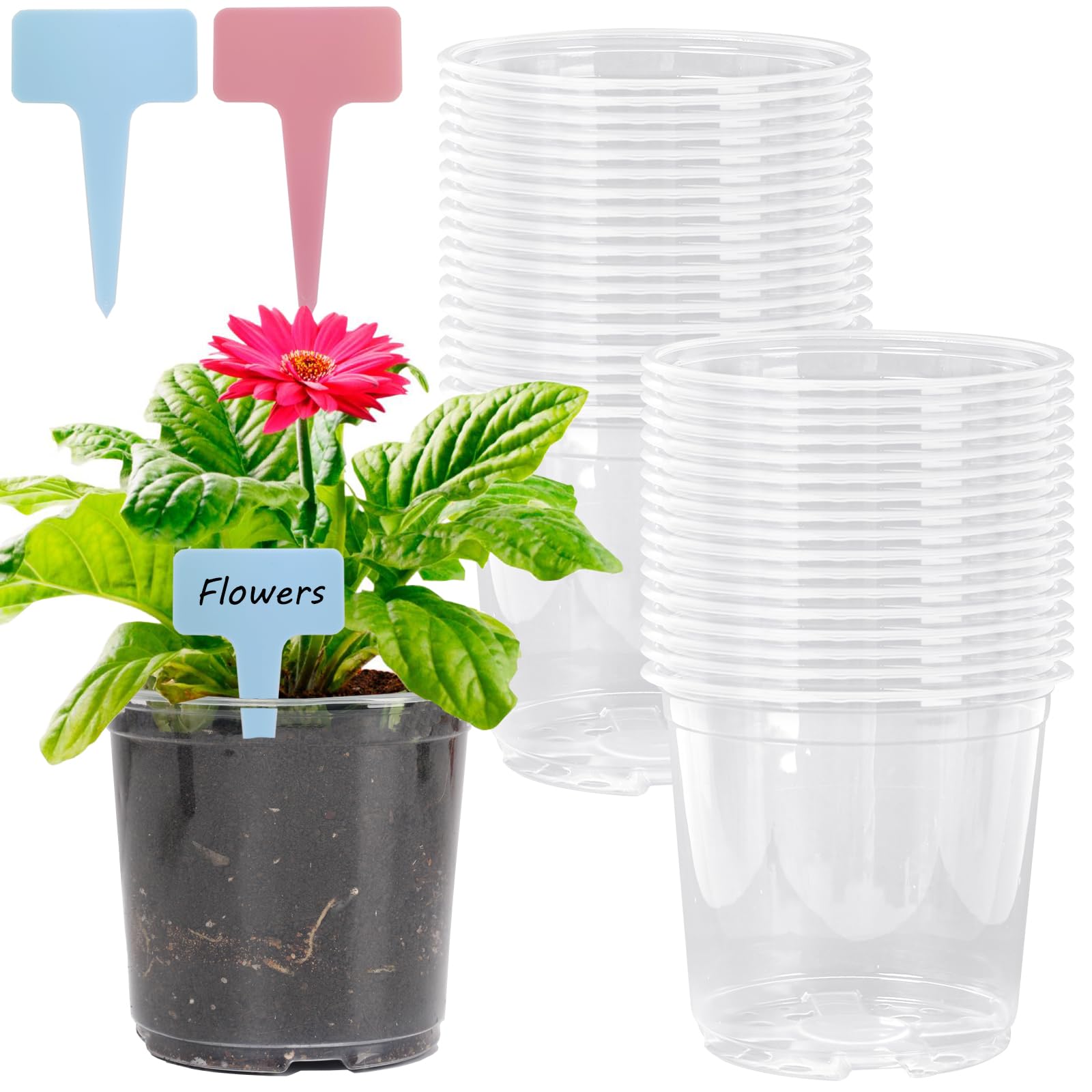 Kaiyuan Dynasty 36 Pack 5 Inch Clear Nursery Pots Clear Plant Pots with Drainage Holes Starter Plant Pots with 40pcs Plant Labels Clear Pots for Plants Clear Plastic Plant Pots