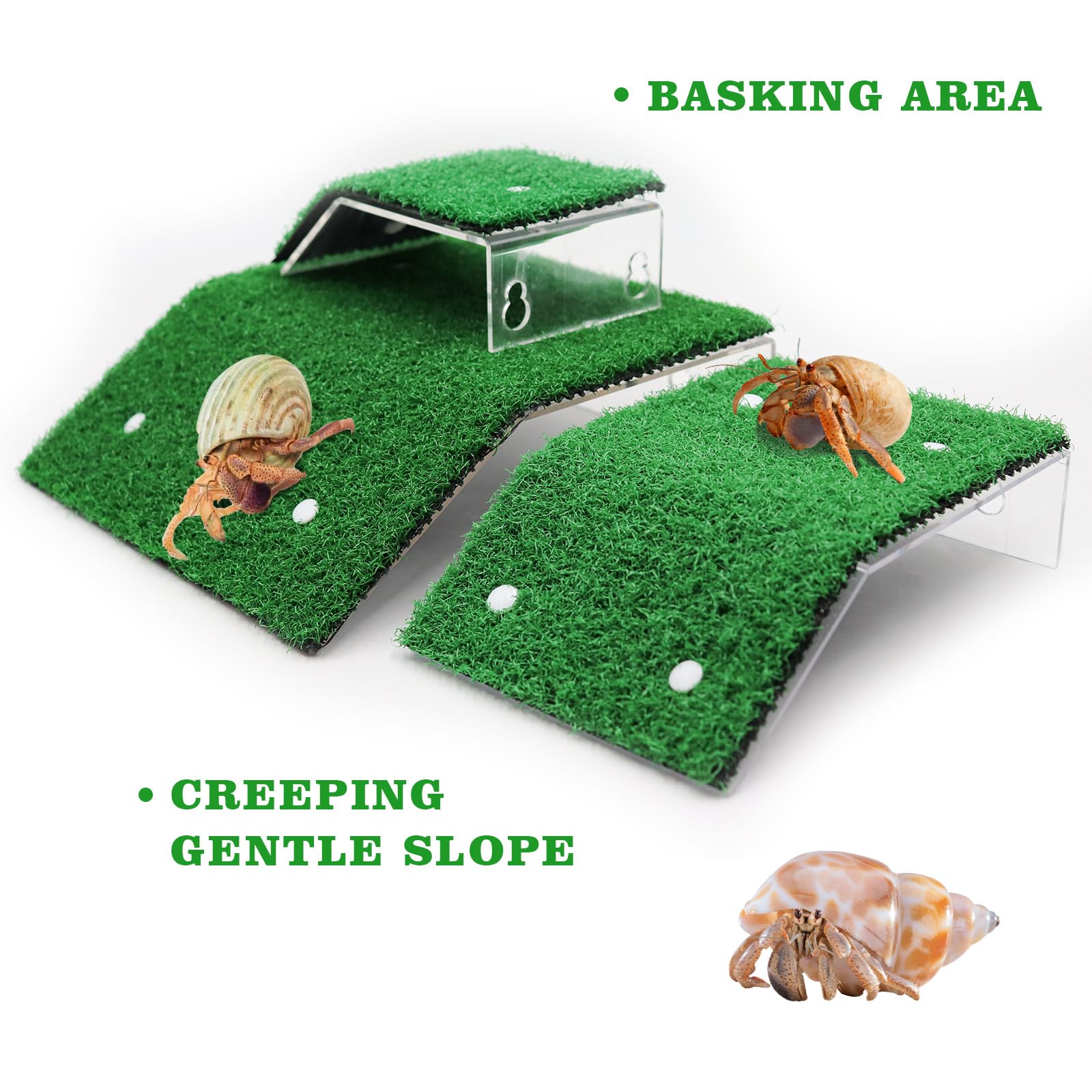 Rainmae Einsiedlerkrabbe Kletterspielzeug – Kunstrasenmatte 25,4x25,4 Cm, Mit Saugnäpfen