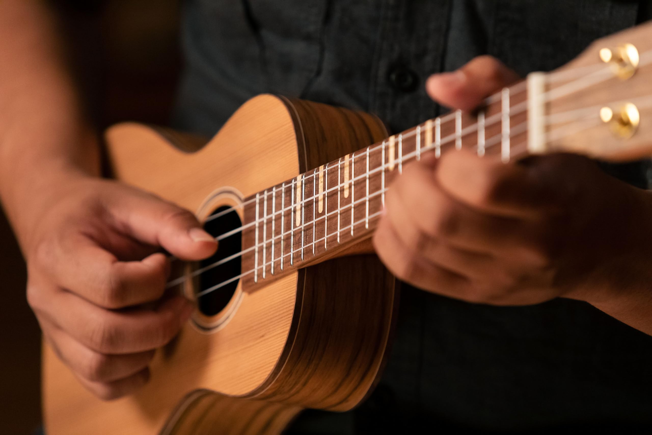 Ortega Guitars Konzert Ukulele Akustisch – Timber Series – Inklusive Gigbag – Zeder, Walnuss, Natur (RUTI-CC)