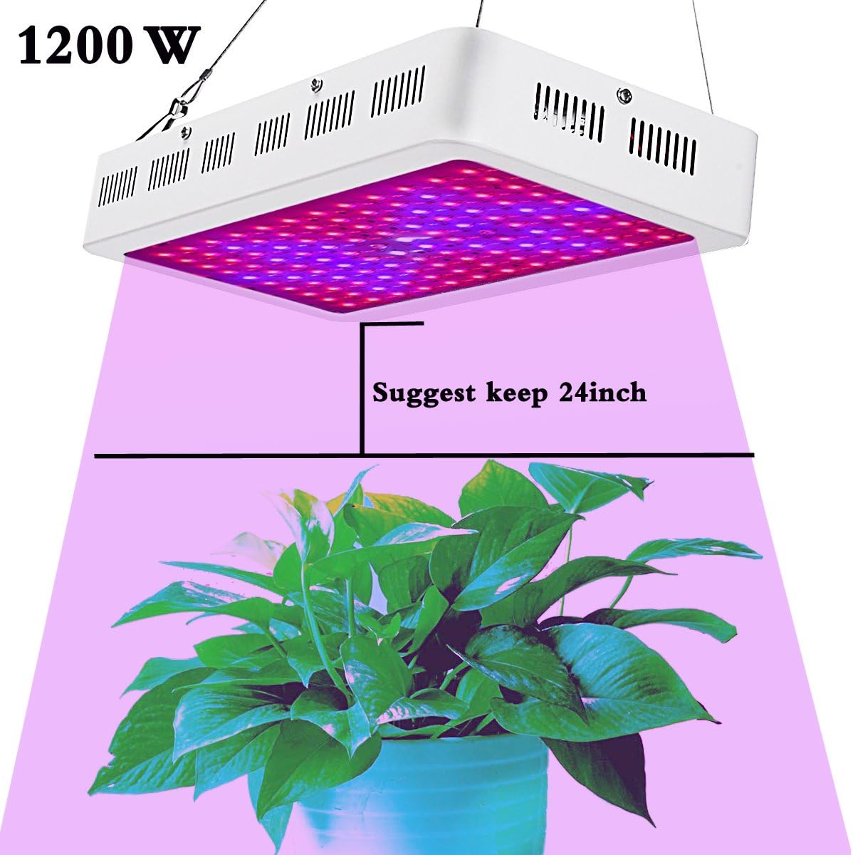 Double Chip 1800 Watt Plant Led Grow Light,Full Spectrum Led Grow Light for Indoor Plants Veg and Flower with 3 Years Warranty HollandStar (1200W)
