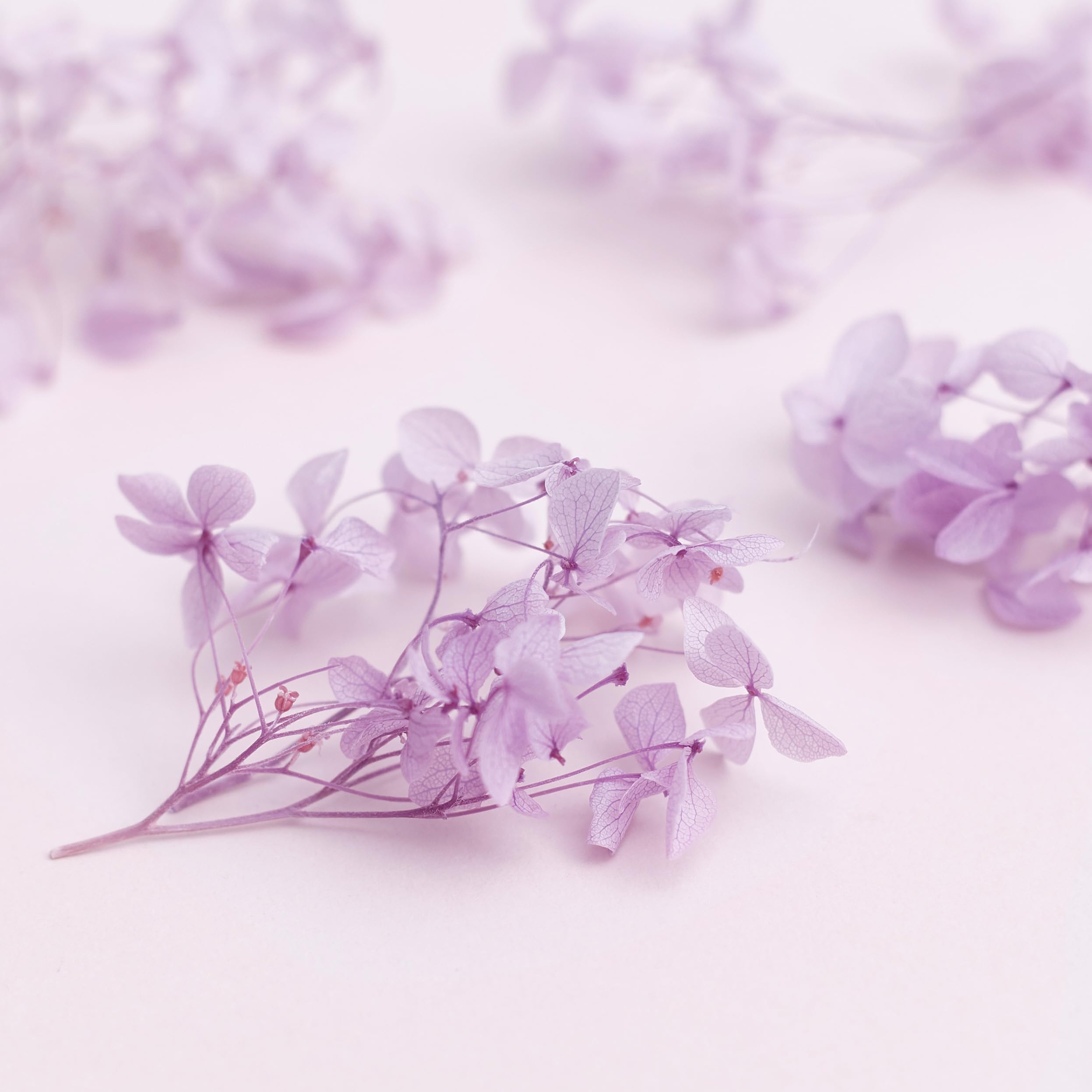 The Baked Studio - Original Dried Flower Hydrangea Set For Cake & Cupcake Decorating & Others Crafts (Lilac) - Image 3