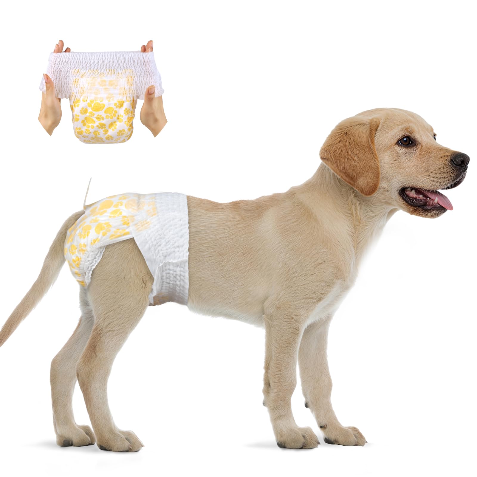 Flying Paws Pannolini Cane USA e Getta Femmina con Elastico in Vita， L-30 | Super assorbenti，Prova di Perdite，Disponibili in varie misure，Completamente Avvolti,Elastico in Vita