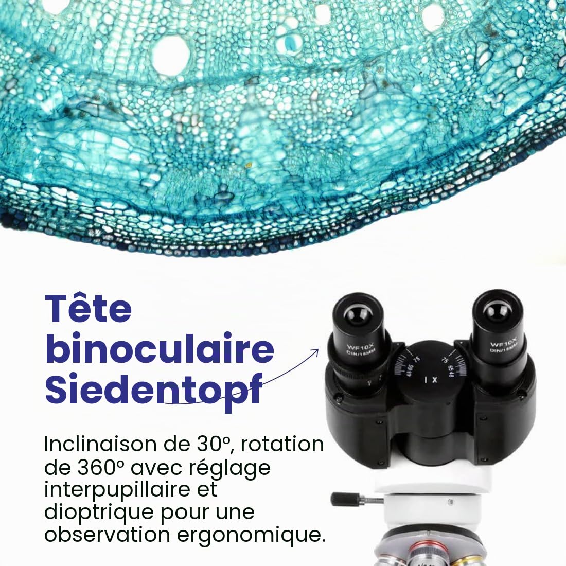 AmScope B120 Series Student & Professional LED Binocular Compound Microscope - 40X-2500X Magnification - Includes 5MP USB Camera & Siedentopf Head