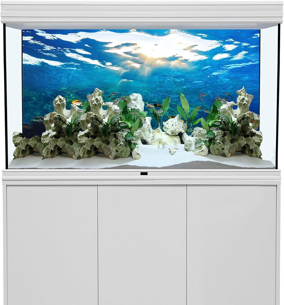 希少 天然珊瑚礁 水槽用白い石灰岩 大型 約約40cm 希少 天然珊瑚礁