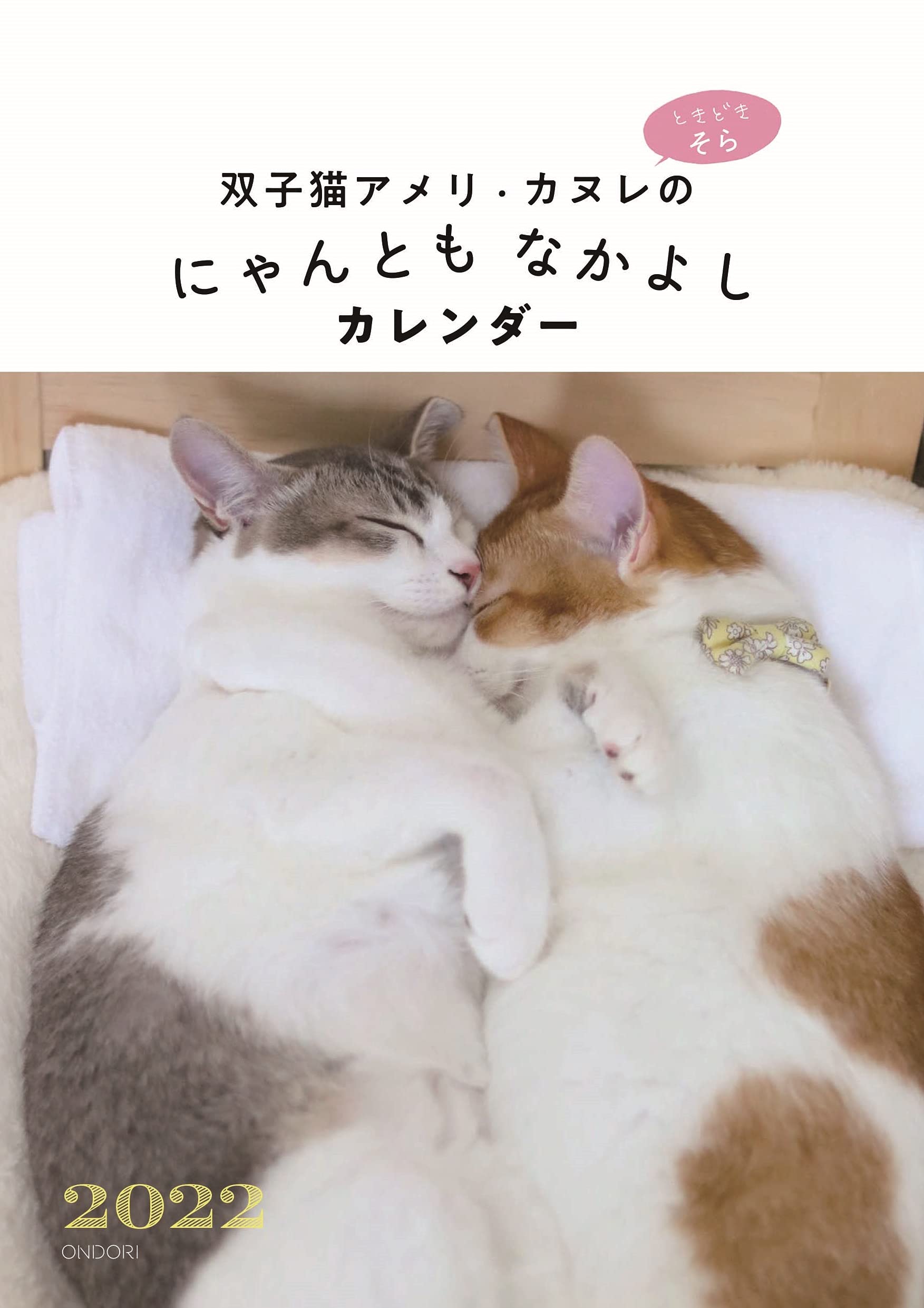 ゆ*ら様 ひまわり＆超ビッグ赤ちゃん猫と友達 コヤンイサム