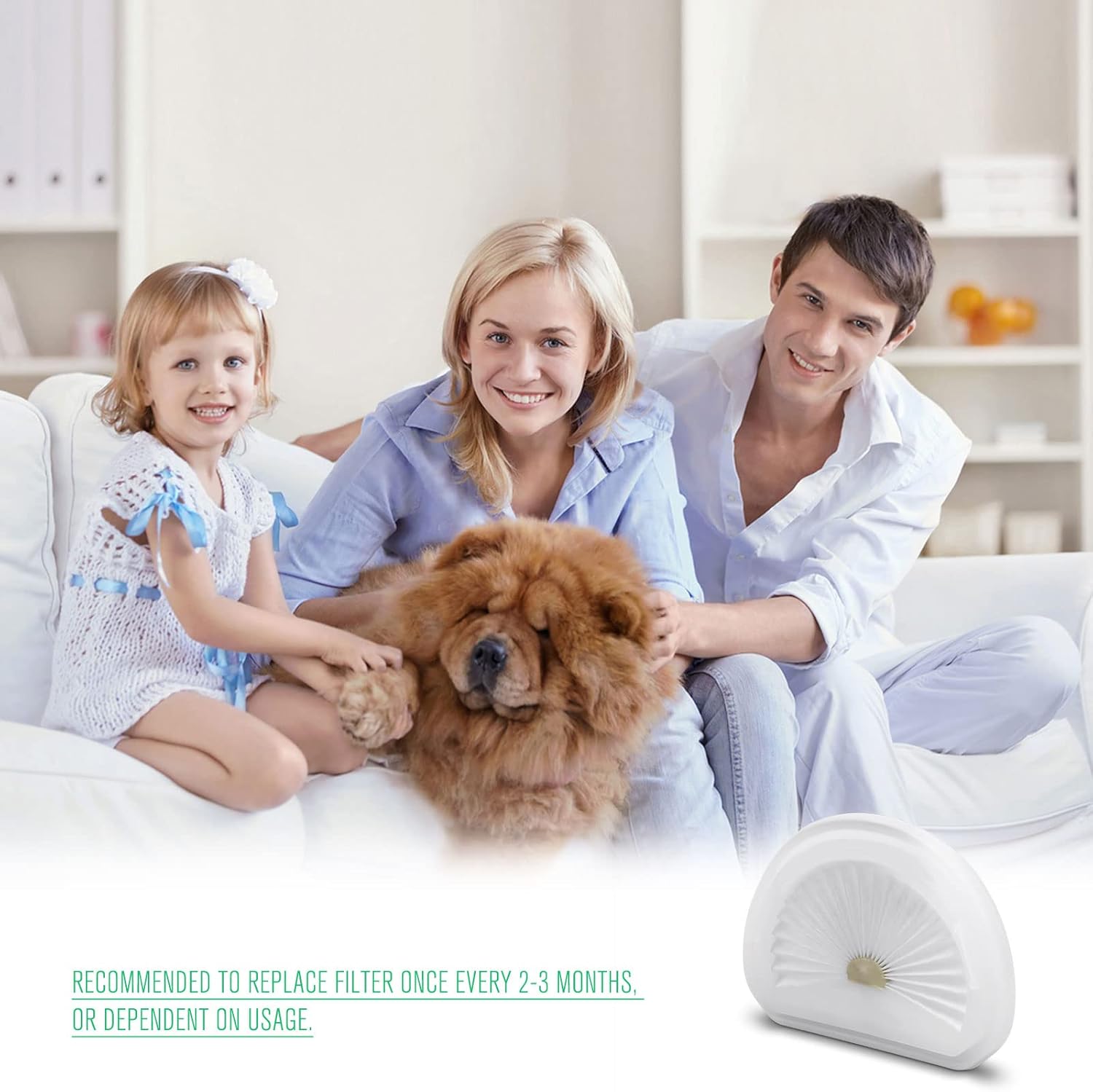 Extolife 8 Pack Hand Vacuum Filter Compatible with Black and Decker VLPF10 Replacement Filter and Handheld Vacuum HLVA315J HLVA320J00 N575266, Replaces Part N600601 -