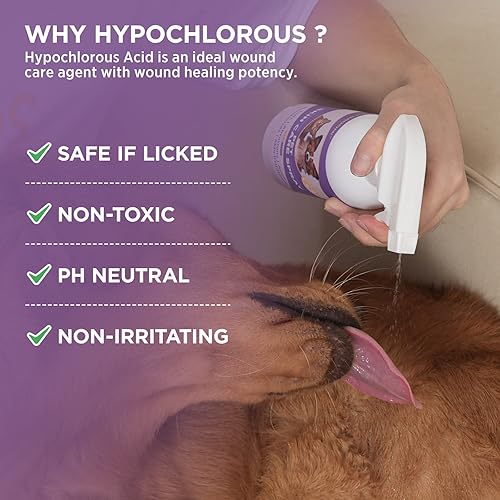 Miniatura 4 de HICC Groom! - Spray hipocloroso para aliviar la picazón, tratamiento de puntos calientes para perros y gatos, alivia la picazón en la piel seca,