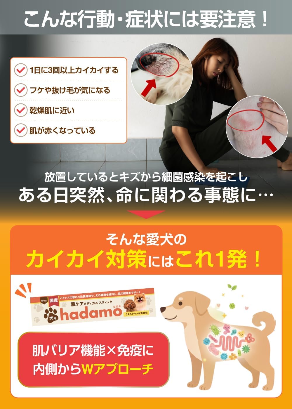 Amazon | 【獣医師監修】 hadamo 犬用 メディカルスティック 犬 サプリ