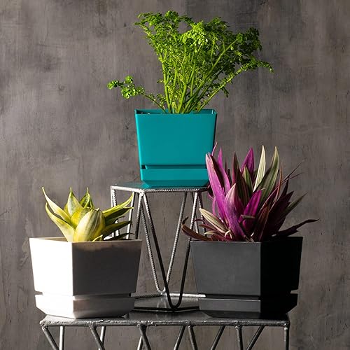 Miniatura 5 de Cubiark Maceta cuadrada de 6 pulgadas, con bandeja de platillo y drenaje, moderna maceta de plástico, acabado texturizado para exteriores e