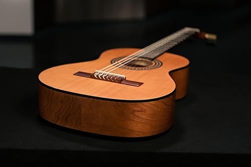 Miniatura 6 de Ortega Guitars 6 cuerdas Student Series 34 tamaño Nylon Guitarra clásica, derecha (RSTC5M-34)