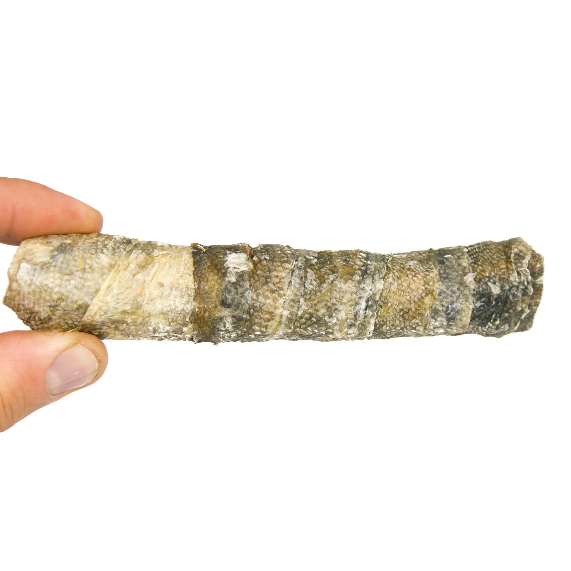RF-Deer Pelle di merluzzo per cani, forma bastoncino, 1 kg, 32-40 pezzi