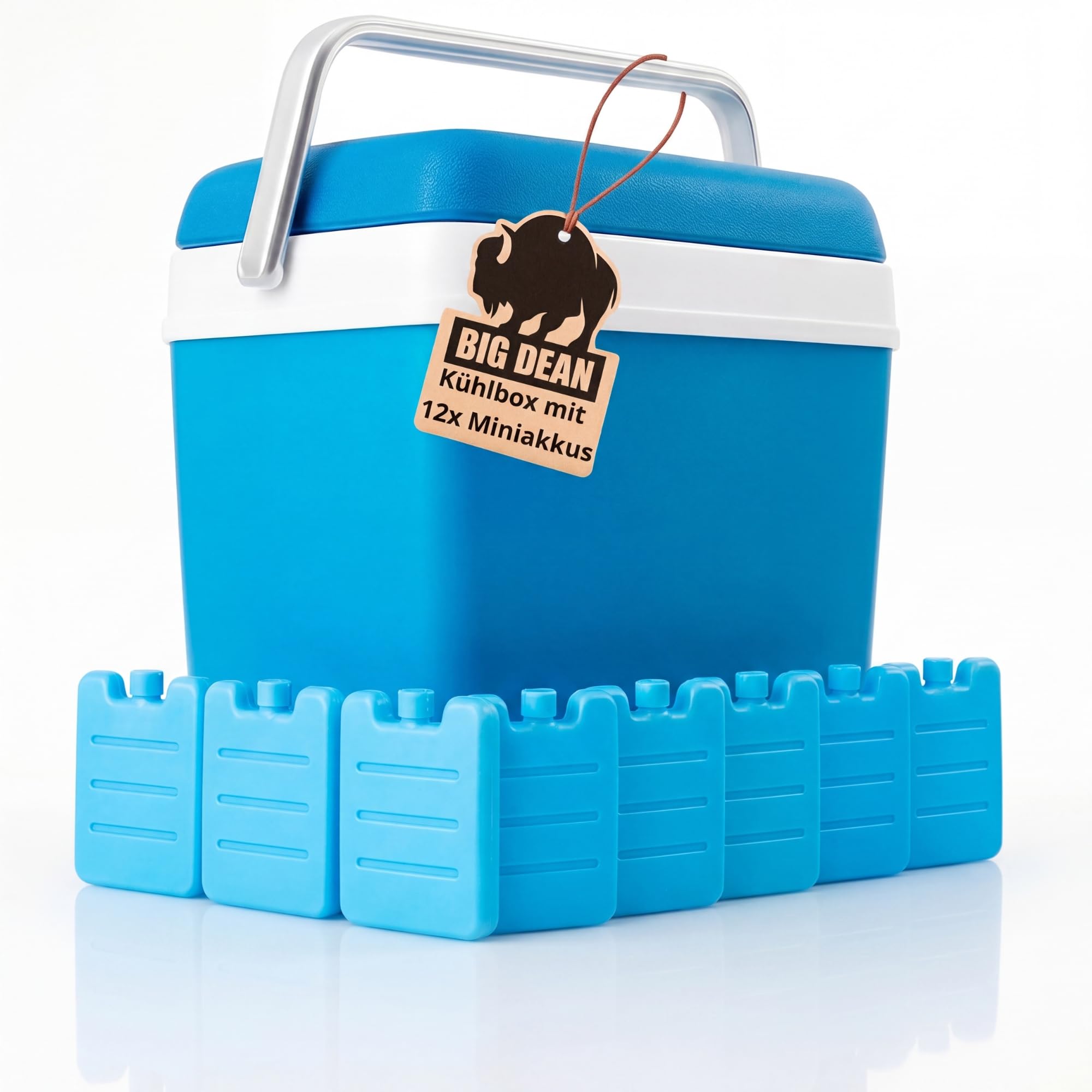 Kühlbox inkl. 12 Kühlakkus 24 Liter Kühlbox mit Akku für bis zu 11 h Kühlung